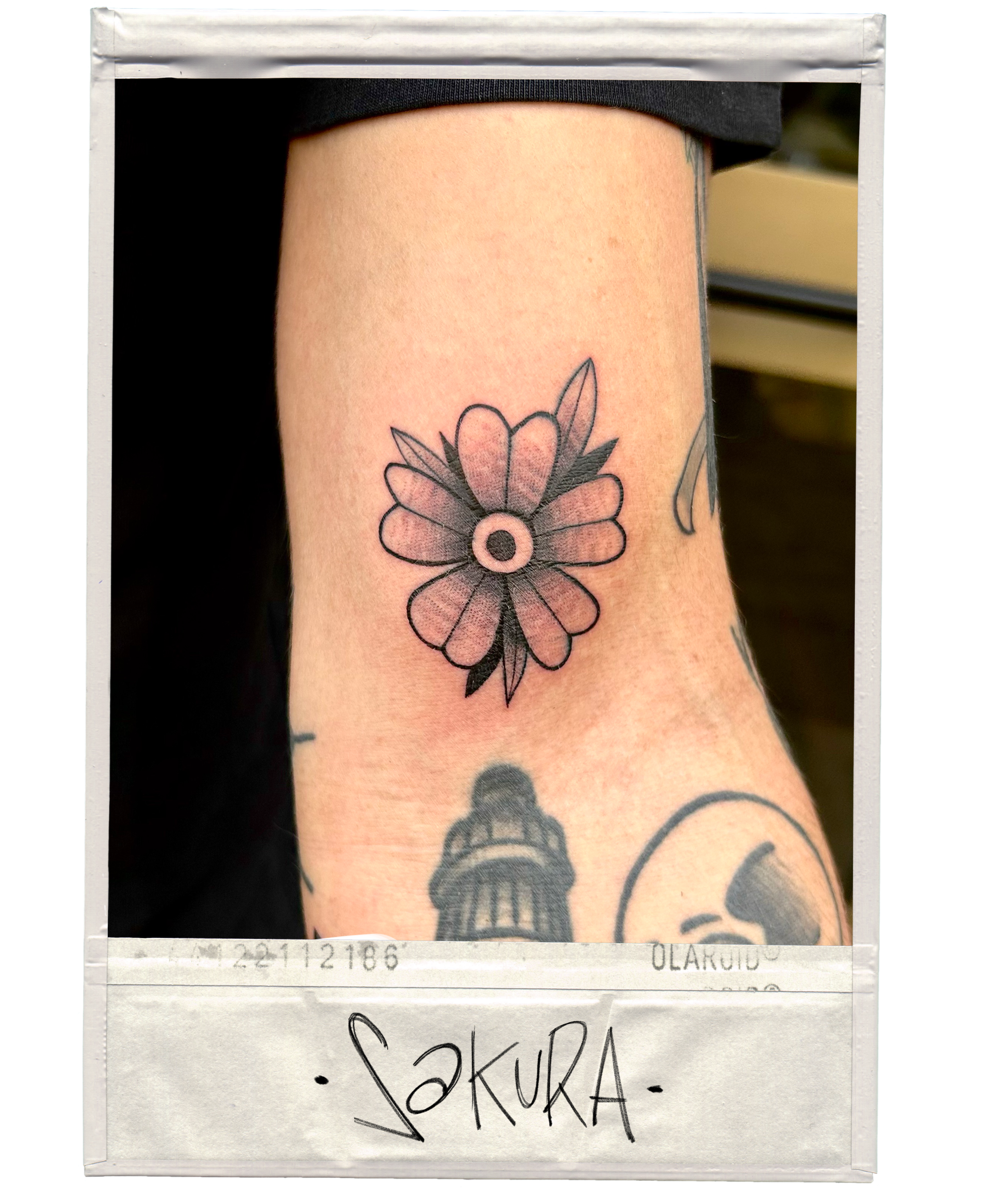 Tattoo of a flower with five petals, shaded with black and gray, on a person's arm. Part of another tattoo with a lighthouse and skull design is visible below.