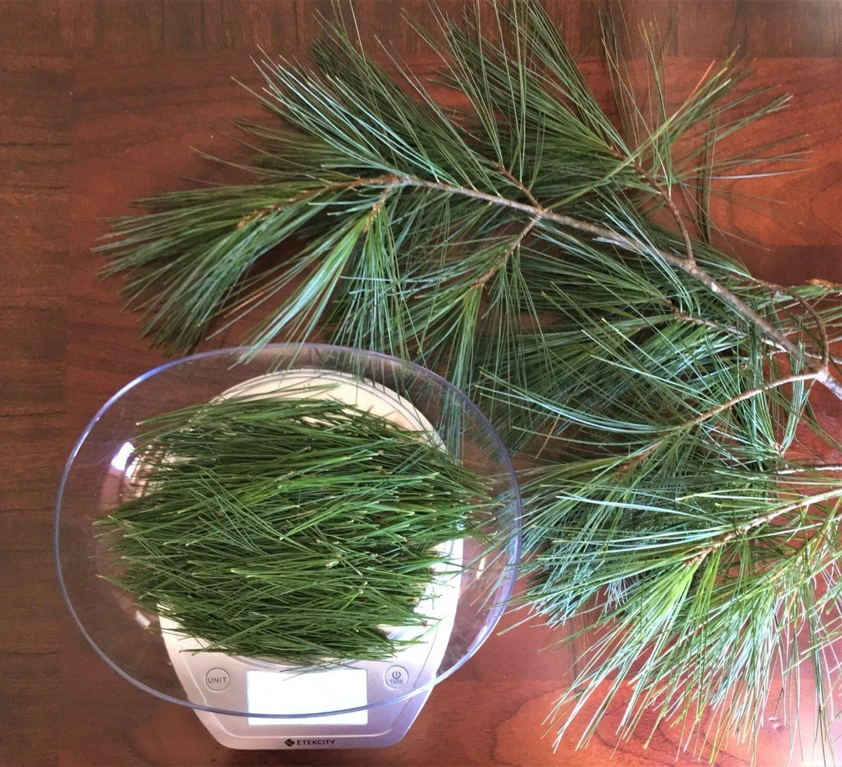 A digital kitchen scale with green pine needles on it, placed on a wooden surface, with more pine needles laid out next to it.