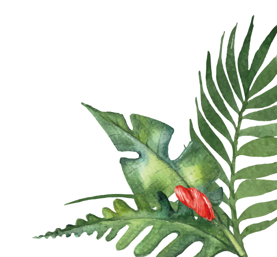 Illustration Les Buffets de l'Eden