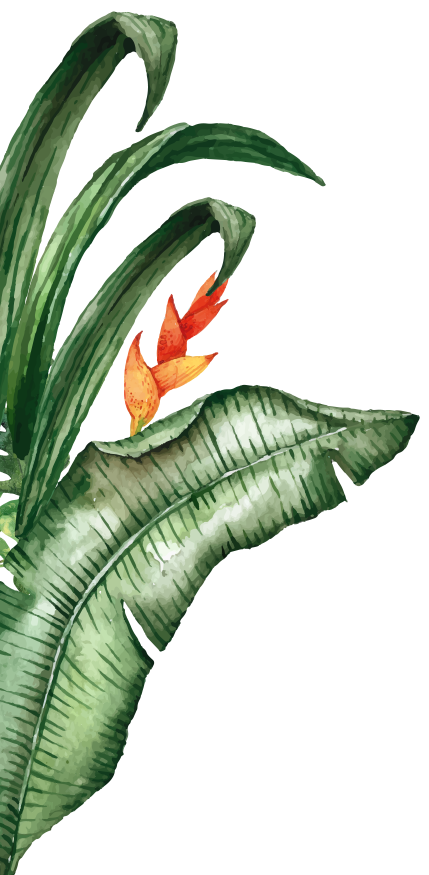 Illustration Les Buffets de l'Eden