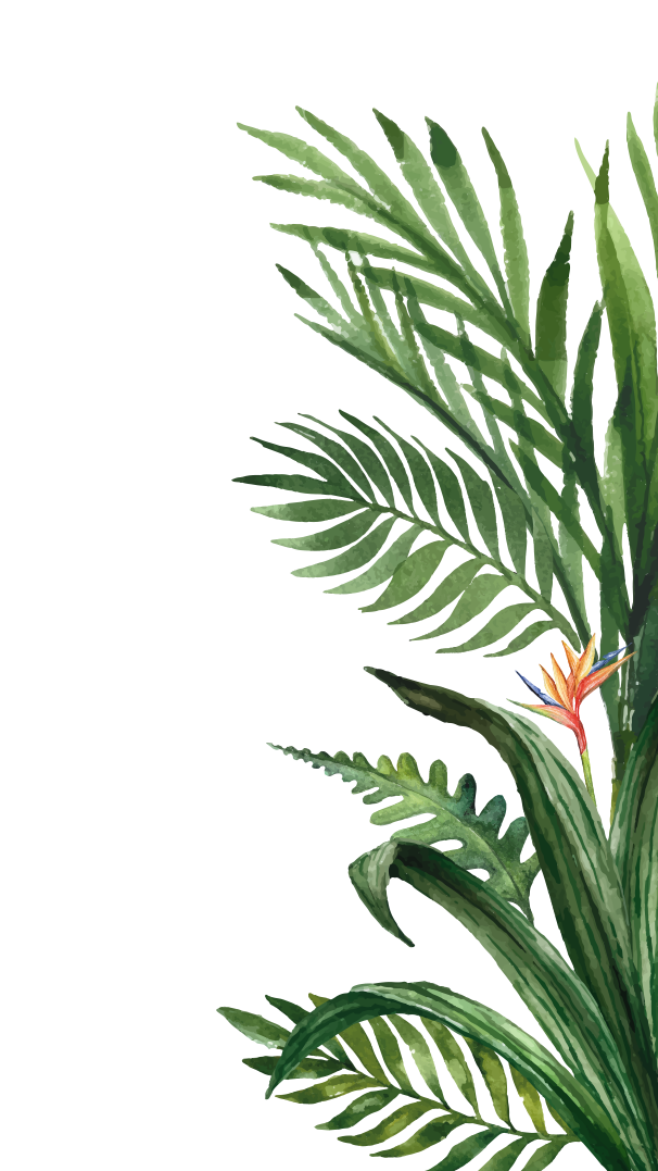 Illustration Les Buffets de l'Eden