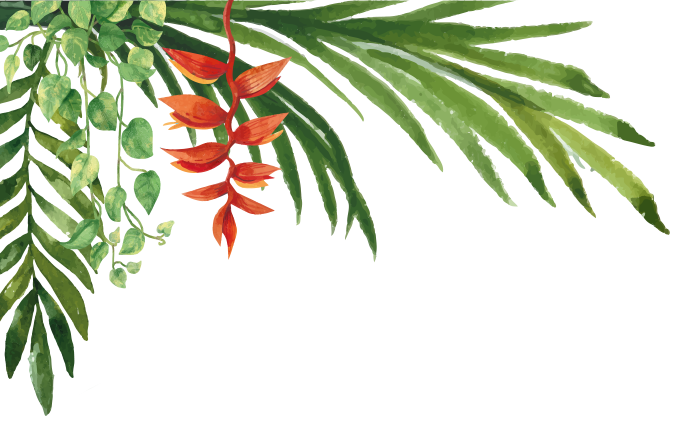 Illustration Les Buffets de l'Eden