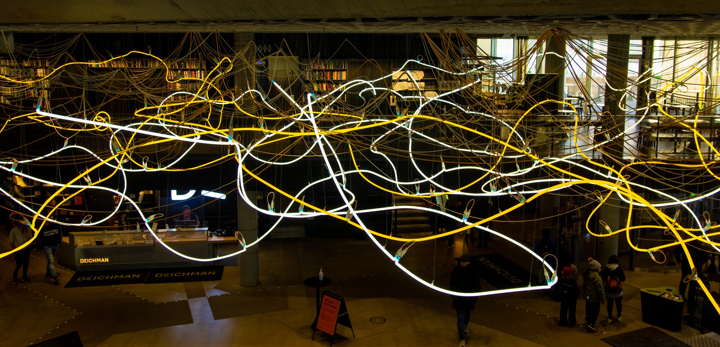 The roof of the main library in Oslo. 