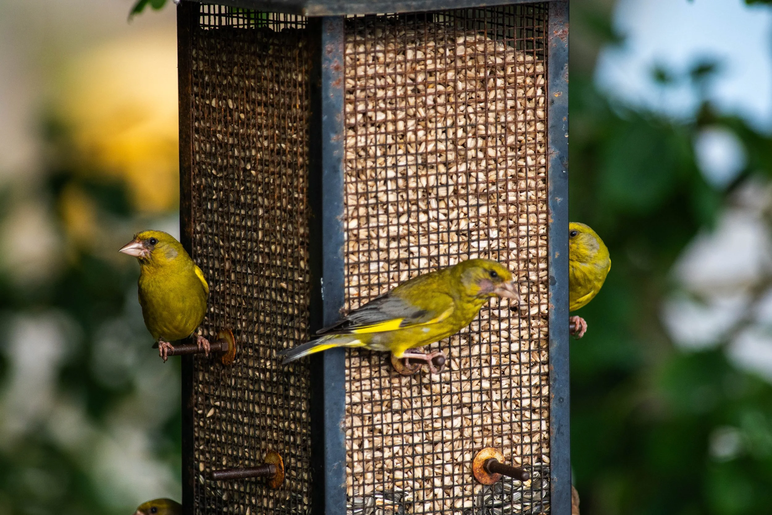 _IMG4767-Edit.jpg