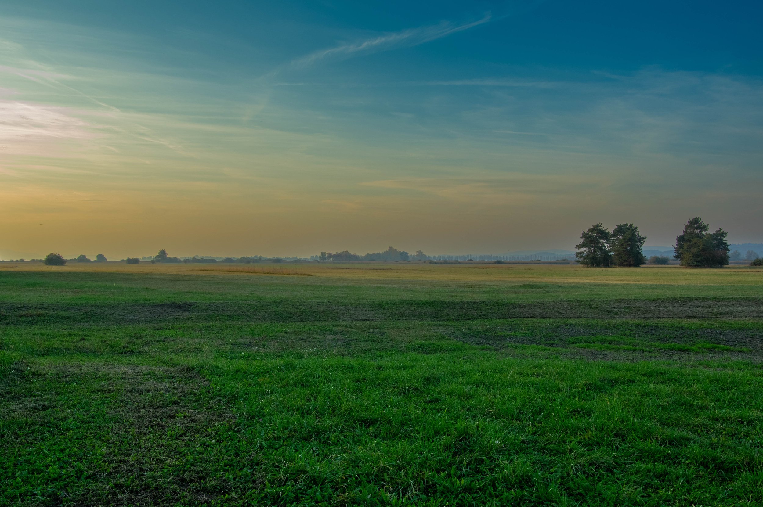 The fields of Wollmatingen ried close to the border between Germany and Switzerland. 