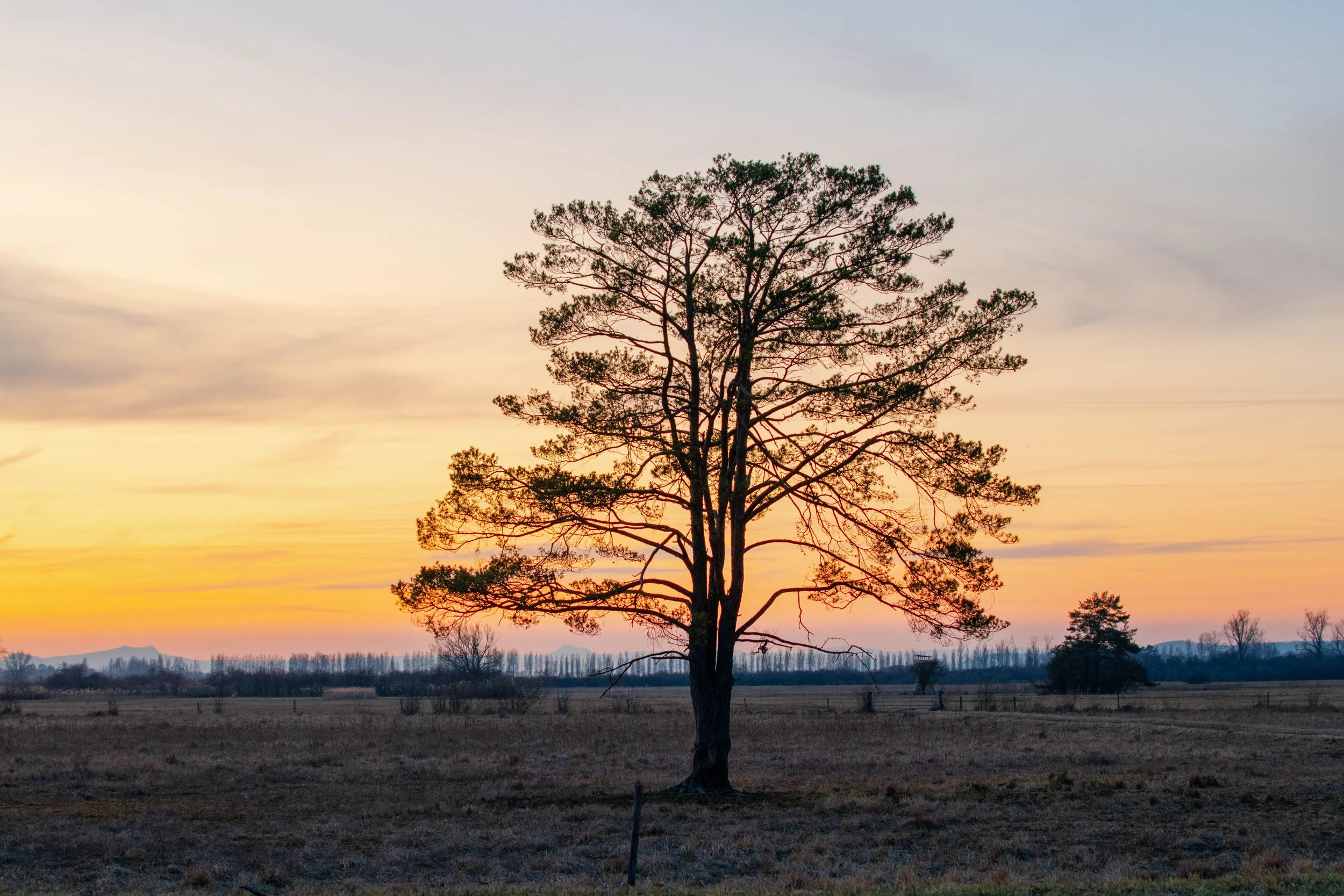 Wollmatinger ried on the bordet between Germany and Switzerland in Autumn. 