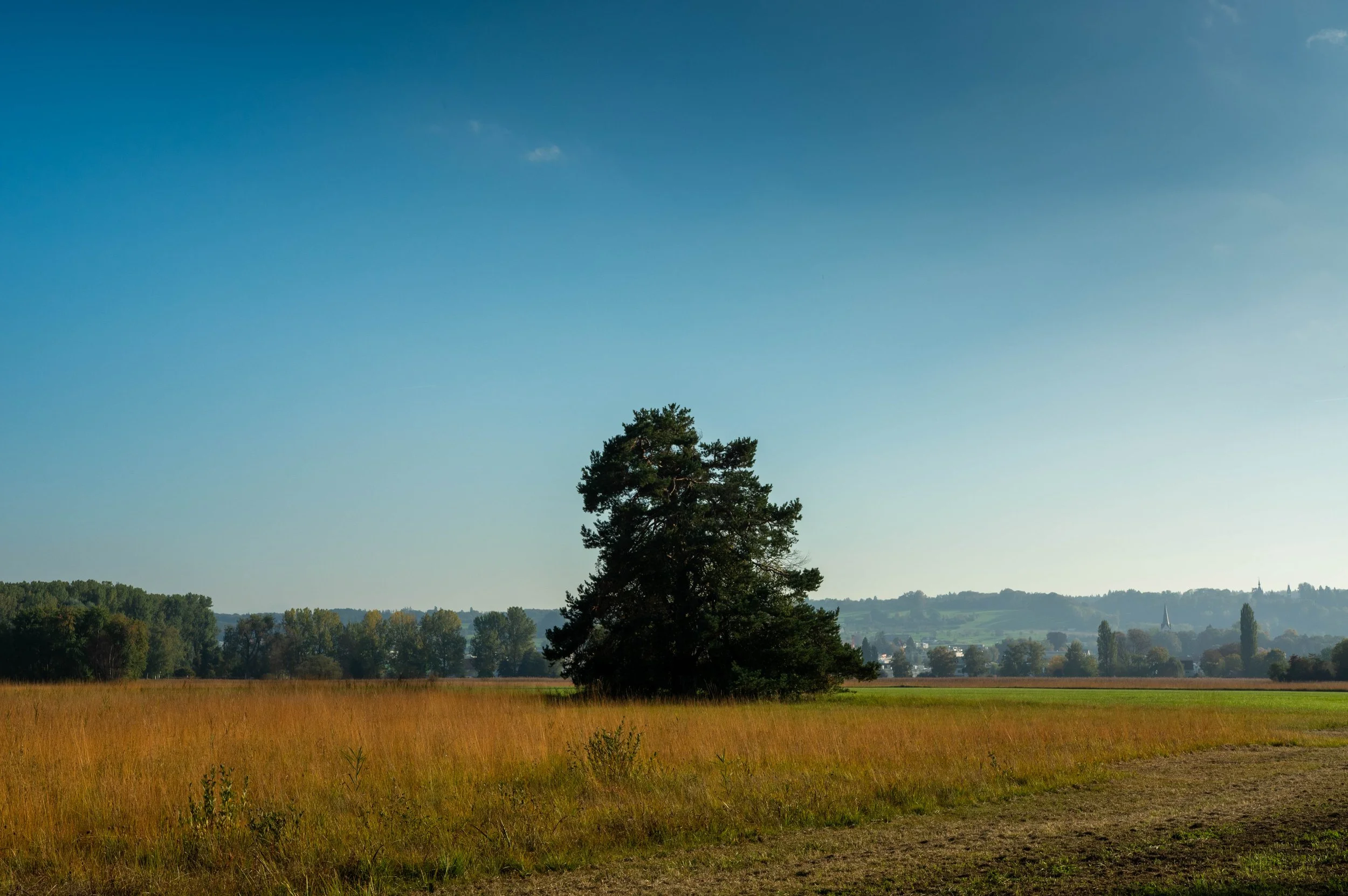 The fields of Wollmatingen ried close to the border between Germany and Switzerland. 