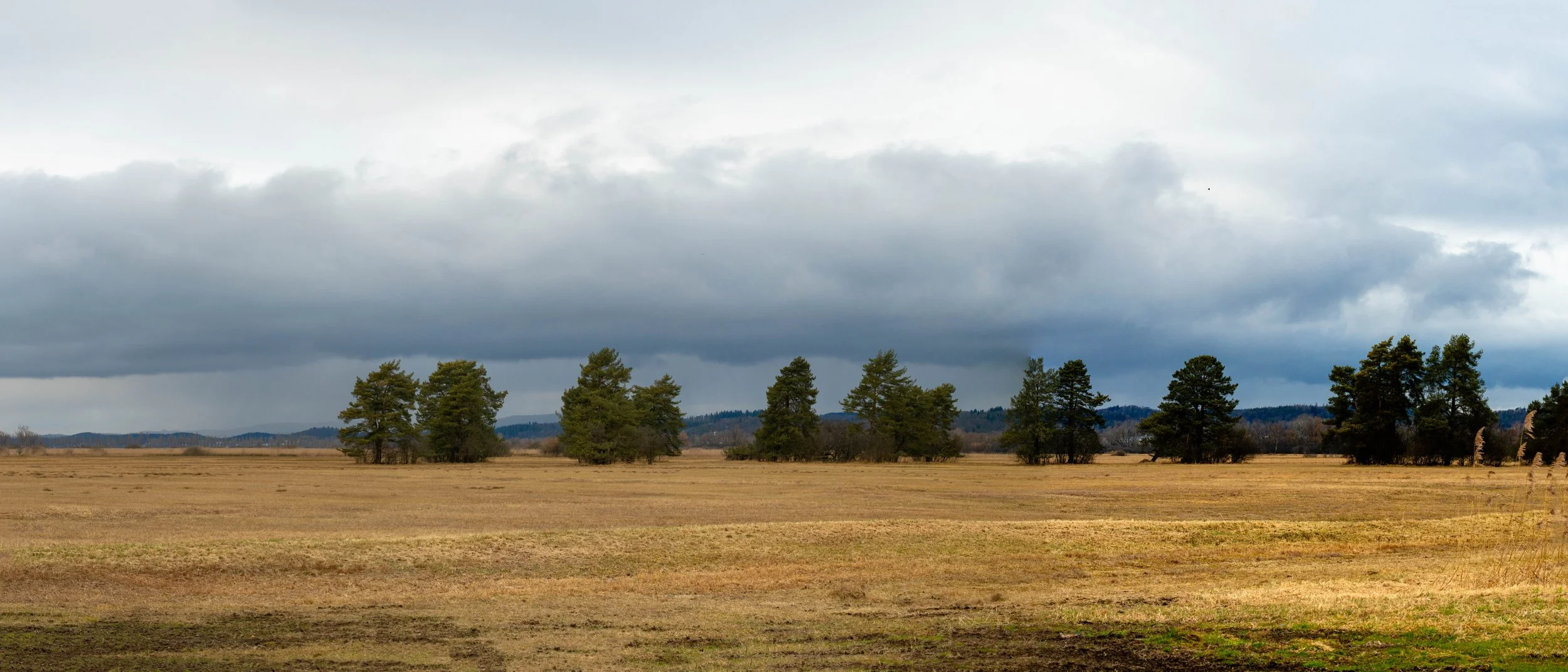Cloudy weather in Wollmatingern ried on the border between Germany and Switzerland. 