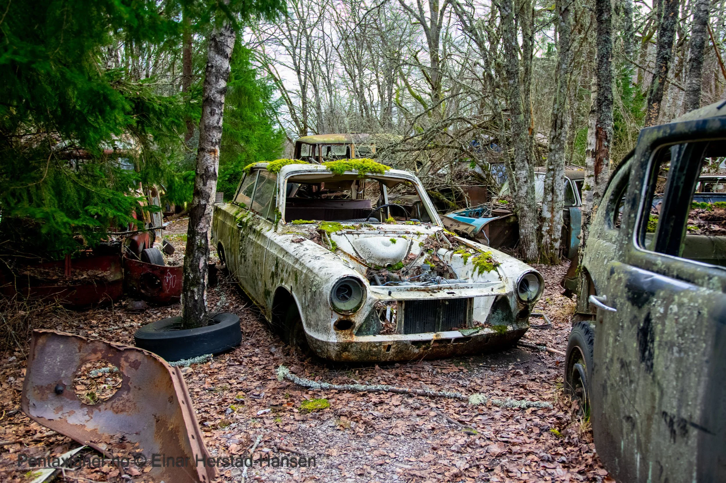From a car cemetery in Scandinavia.  