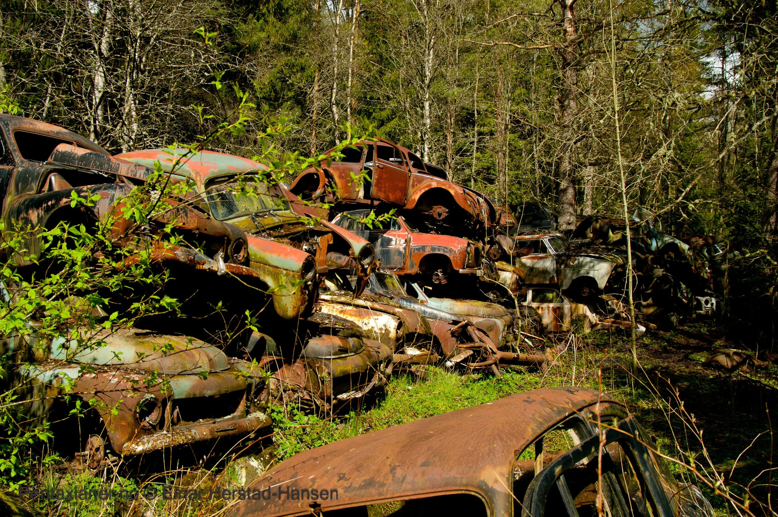 From a car cemetery in Scandinavia.  