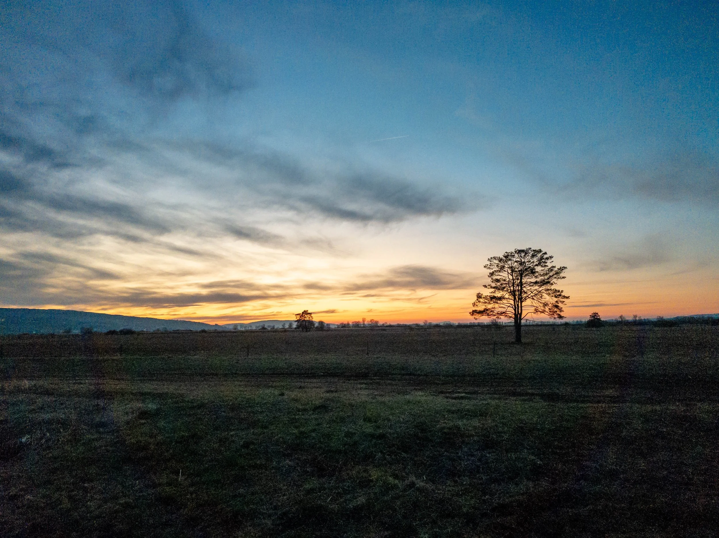 Wollmatinger ried on the bordet between Germany and Switzerland in Autumn. 