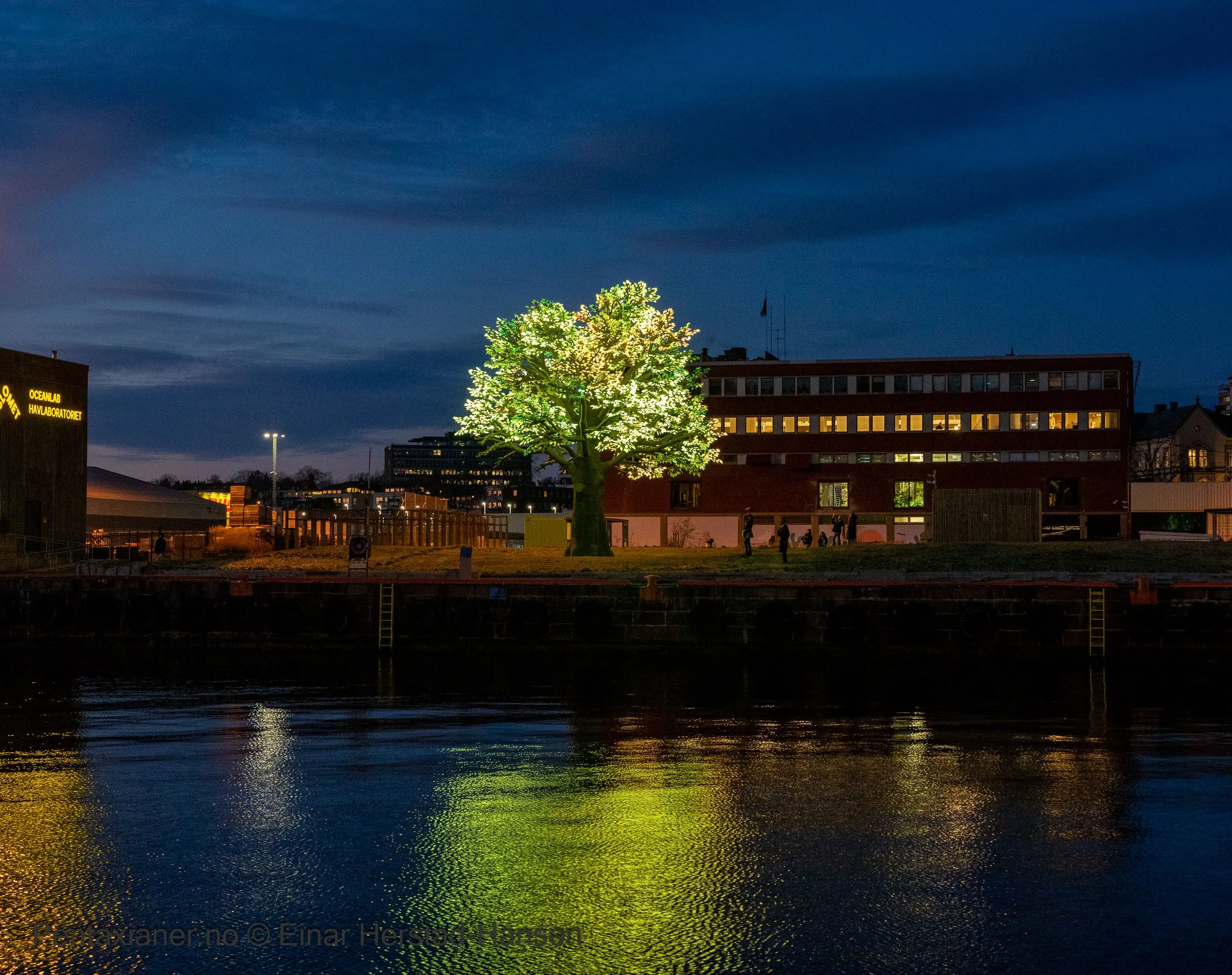 A LED tree at Aker Brygge in Oslo. 