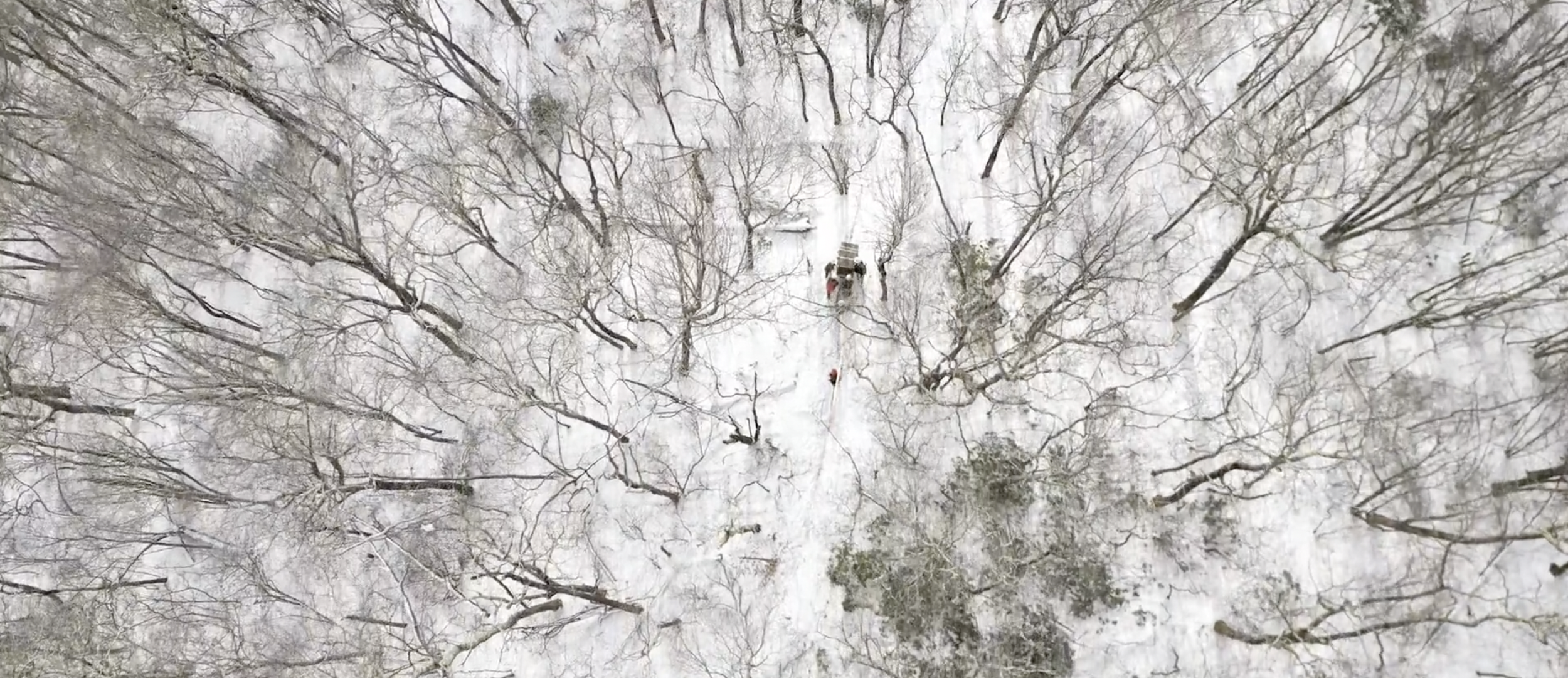 Screen Shot 2024-04-26 at 1.18.12 PM.png