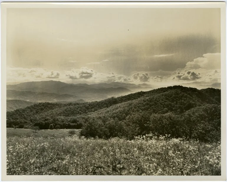 View from Rich Mountain looking SW (0-2809).jpg