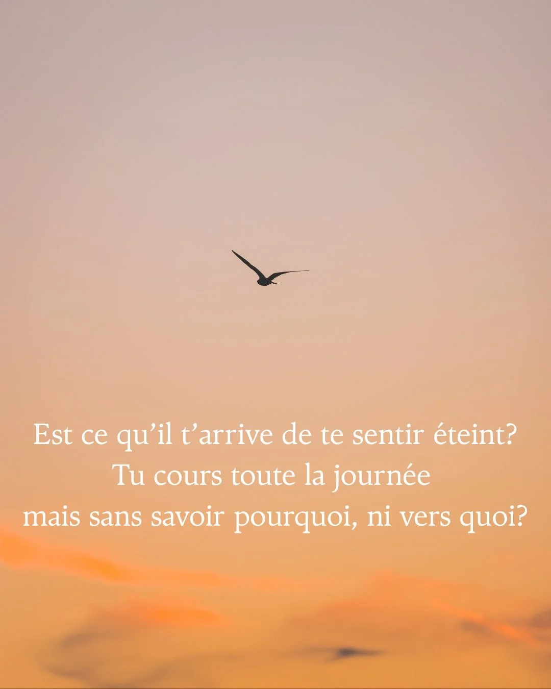 Parce que notre job occupe une grosse partie de notre vie, il est primordial d&rsquo;y trouver du sens. Un bilan de comp&eacute;tences doit nous permettre de nous poser les bonnes questions. Au del&agrave; de la technicit&eacute; et des &eacute;tapes