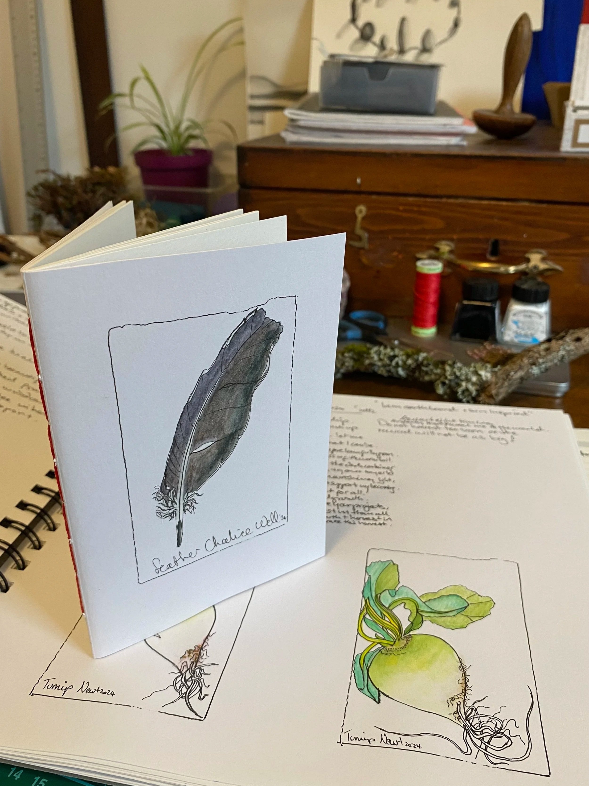Hand-drawn botanical illustrations of a feather and a plant, labeled 'Leather Chickie Well 24' and 'Tomip Nav 2024', resting on an open sketchbook with handwritten notes. Background shows a wooden desk with art supplies and papers.