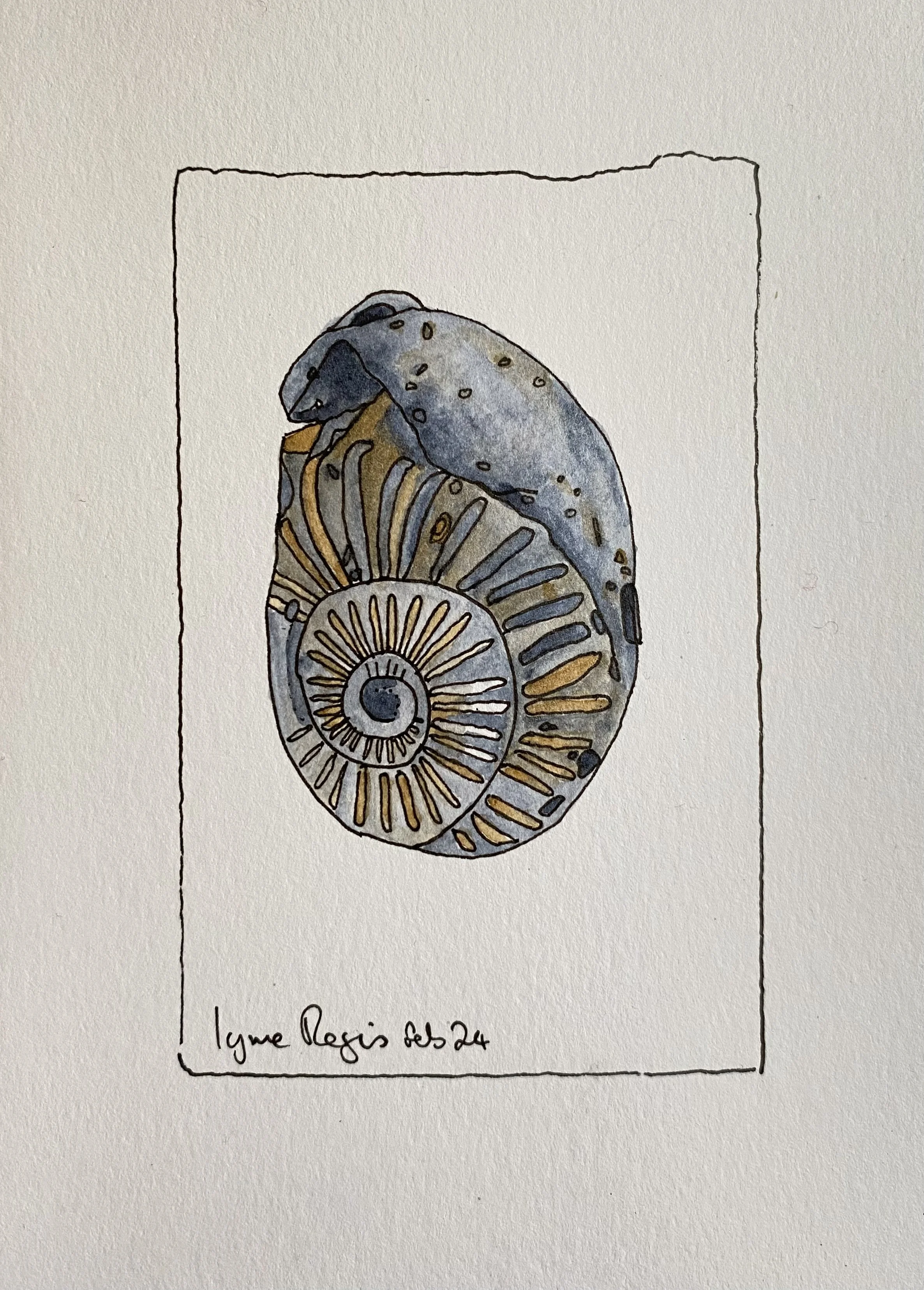 Watercolor drawing of a fossilized ammonite shell with handwritten note below reading 'Lyme Regis Feb 24'.