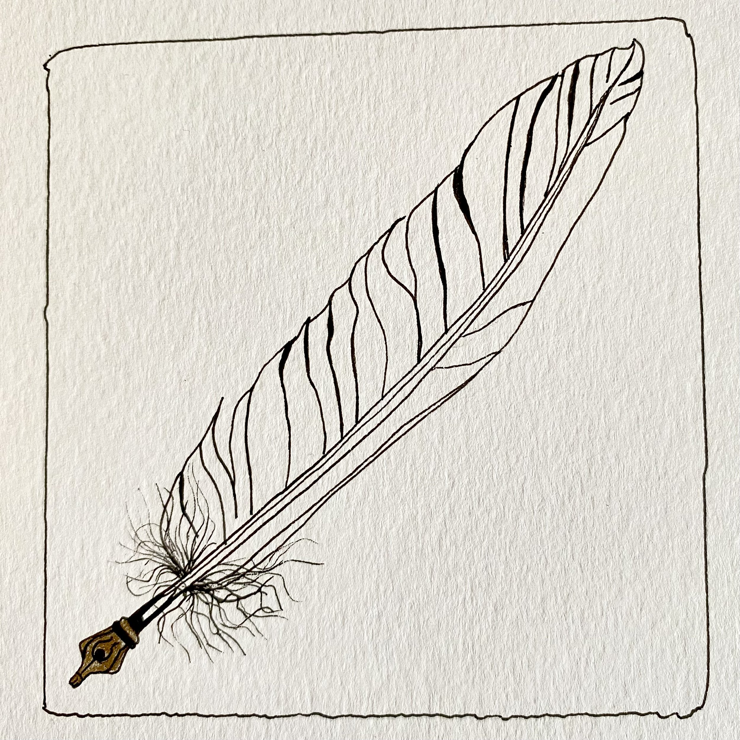 Line drawing of a quill in ink. A feather.