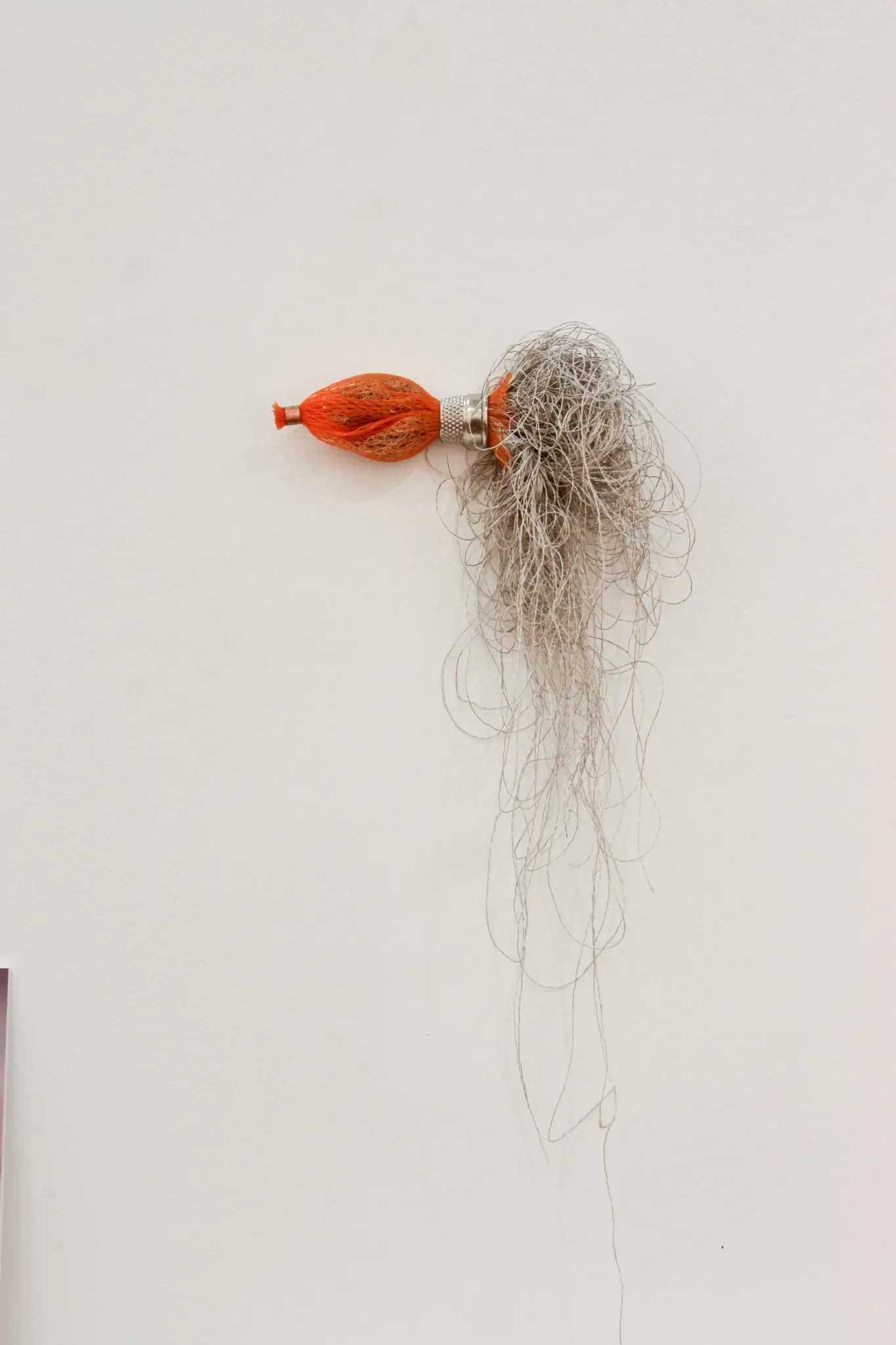 20110531-img_5683.jpg.webp