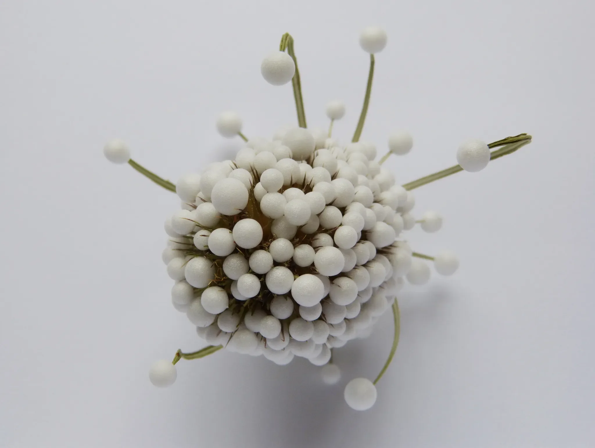 object-a-day-67.-teasel-eps-balls.-2013-1.jpg.webp