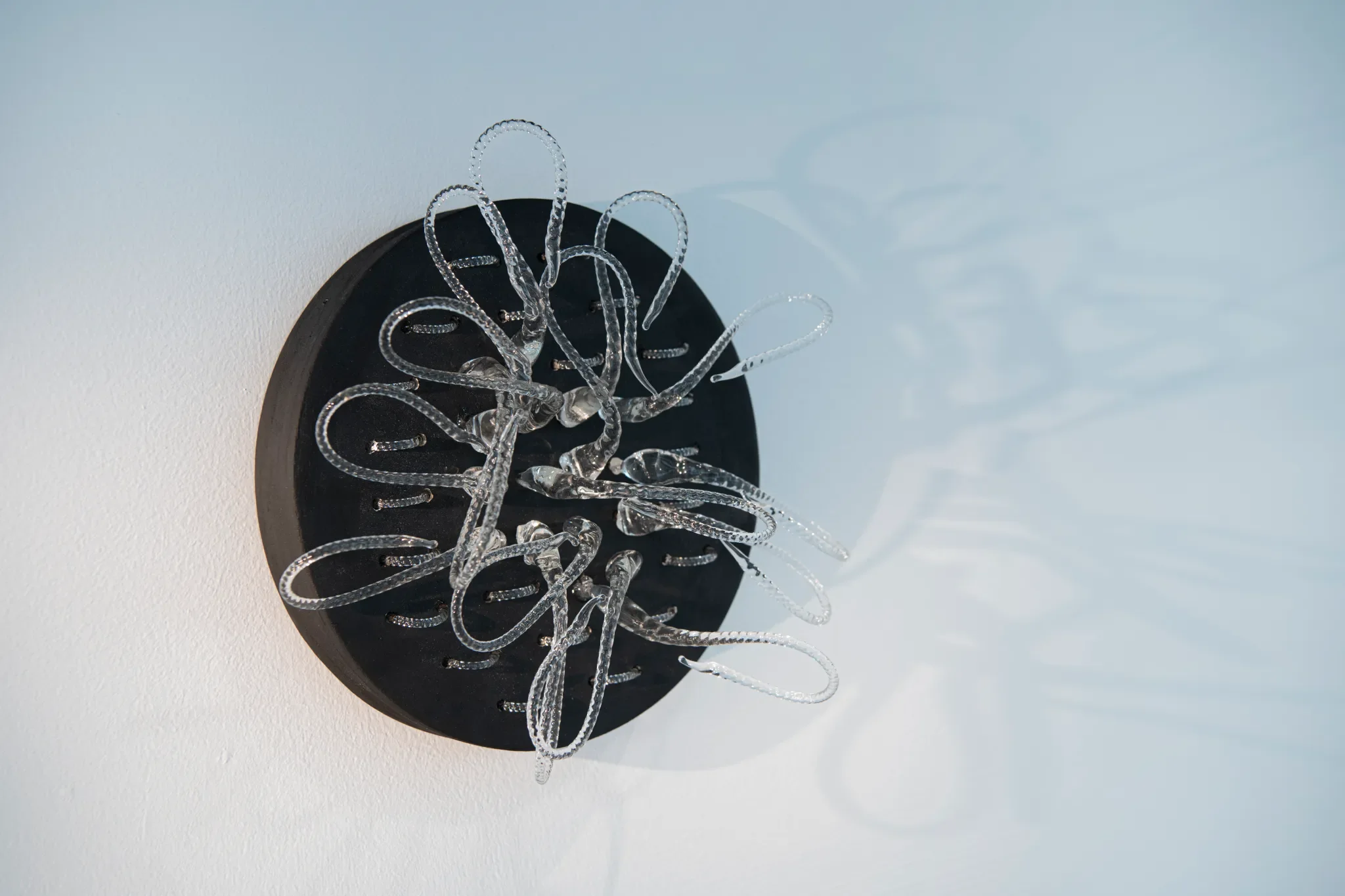 Salvaged borosilicate from Mayflower glass