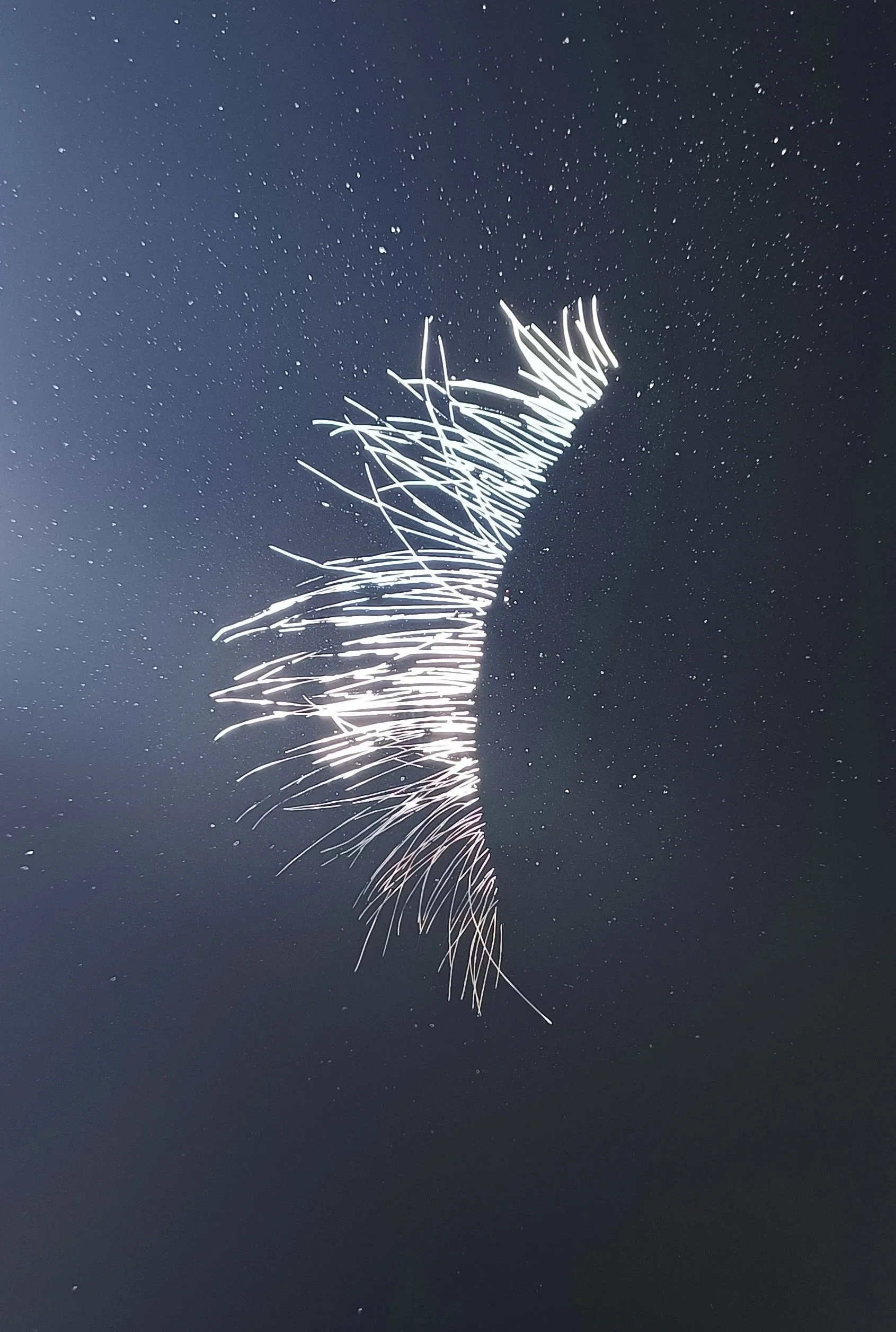 Glass Hair, NGC Glass Prize