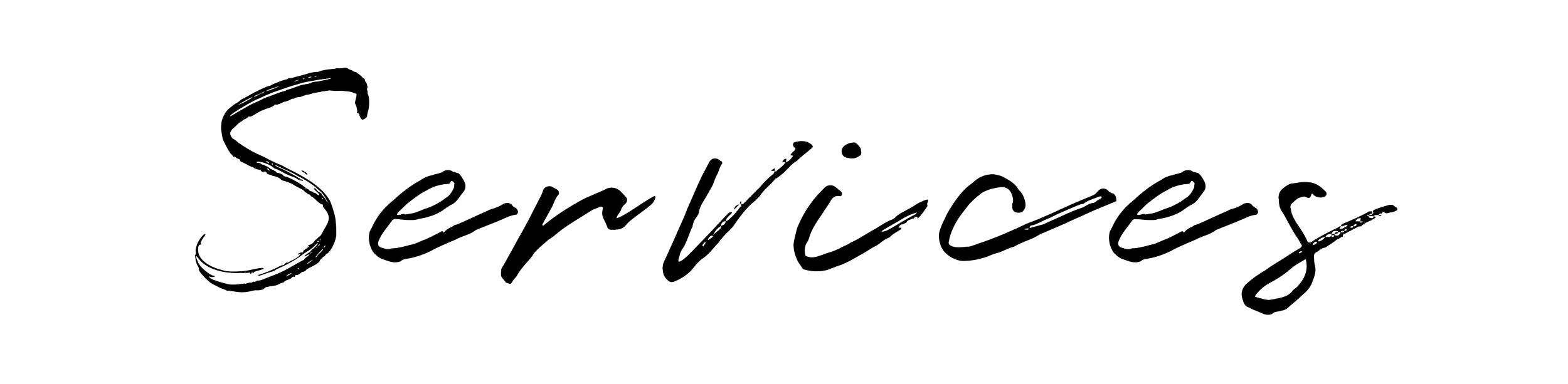 De tekst 'Services' in een sierlijk, handgeschreven lettertype.