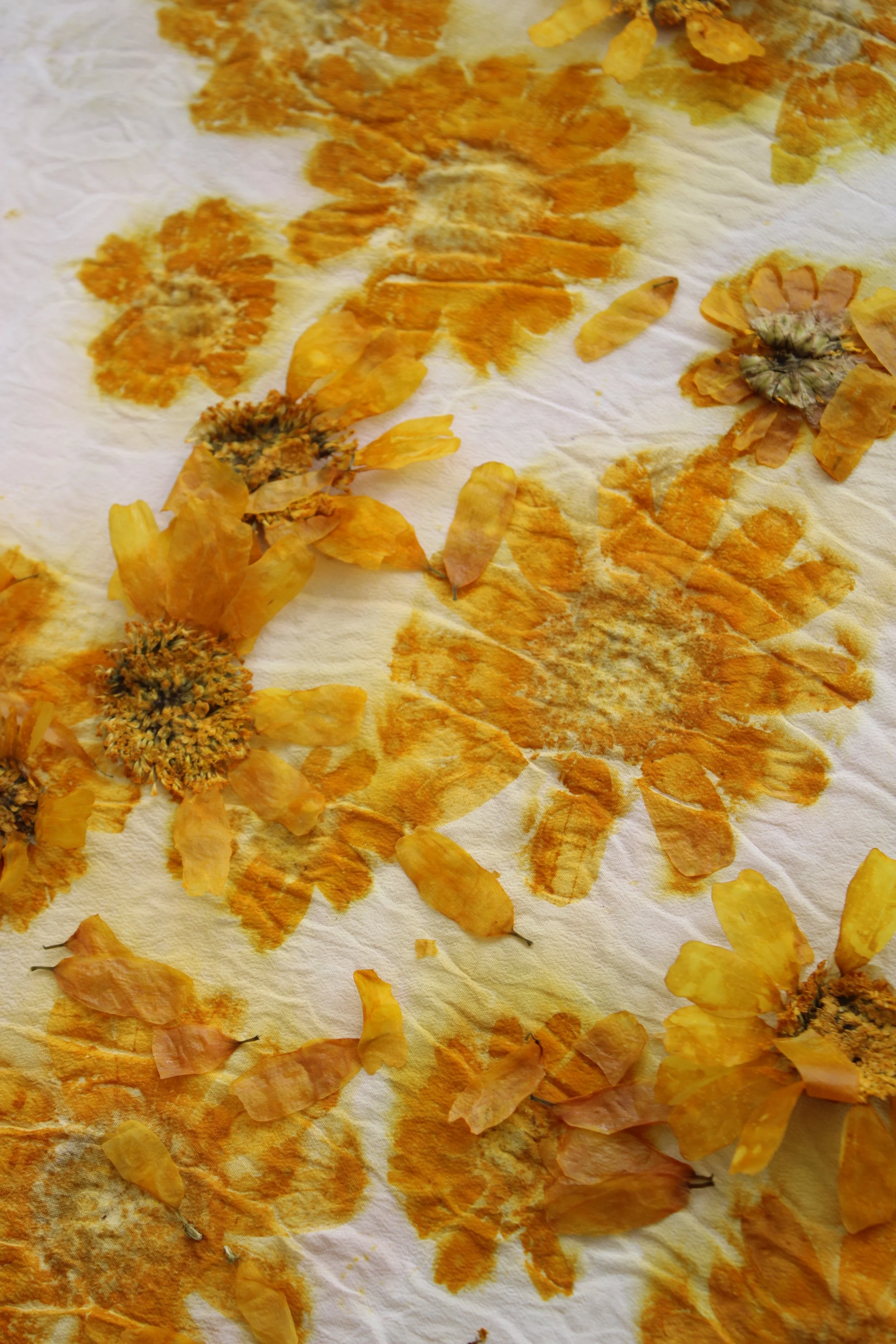 Eco Printing - Flower Edition