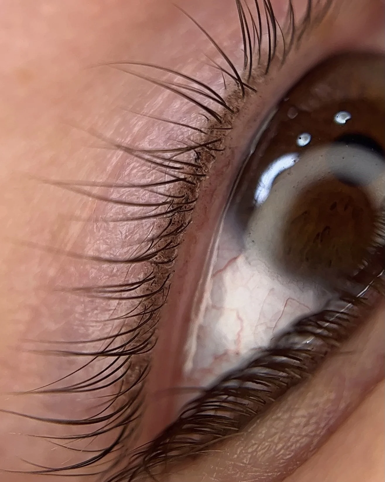Close-up of a human eye showing eyelashes, iris, and sclera.