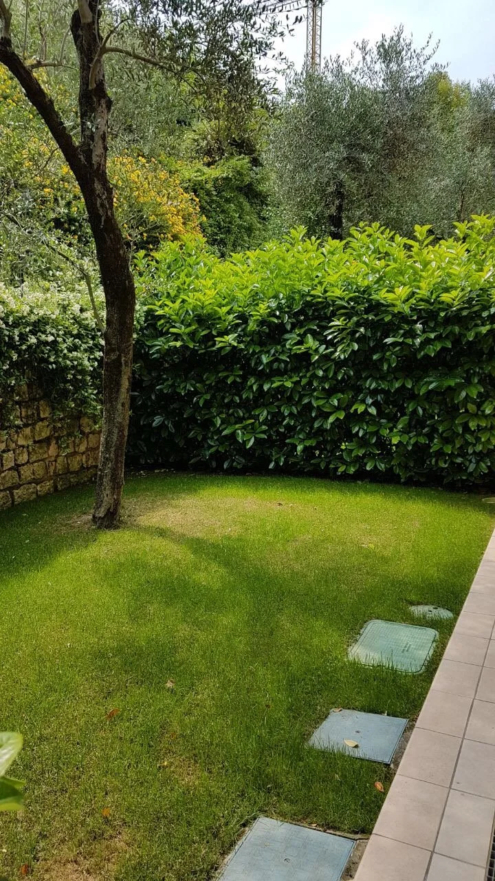 Green backyard with a small tree, a thick hedge, and a stone wall to the left. The lawn is well-maintained, and there are three small, square, glass-covered utility access panels along the tiled patio on the right.