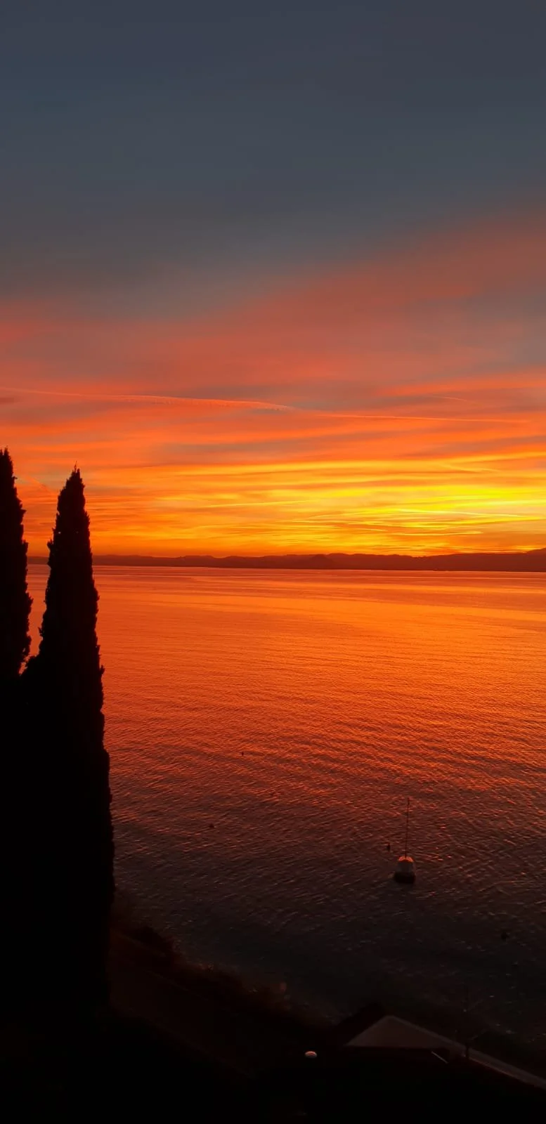 A vibrant sunset over a body of water with colorful sky streaks in orange, pink, and purple. Silhouettes of tall trees and a small boat are visible in the foreground.