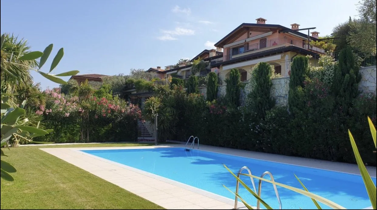 A backyard with a rectangular swimming pool surrounded by a grassy lawn and lush green trees and shrubs, with houses in the background and a clear blue sky.