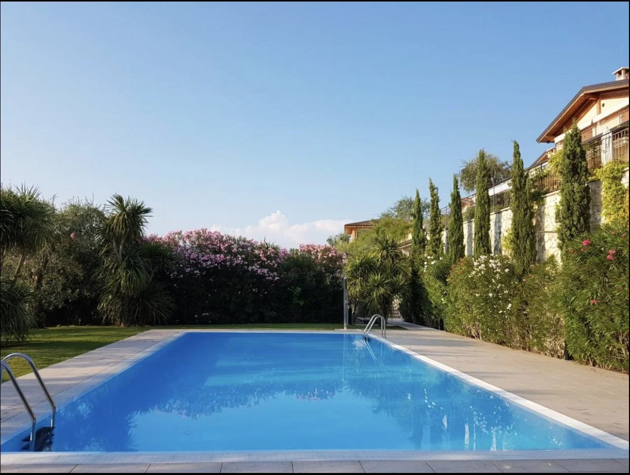 A backyard with a swimming pool, surrounded by green plants, trees, and flowering bushes, with a house and a clear blue sky in the background.