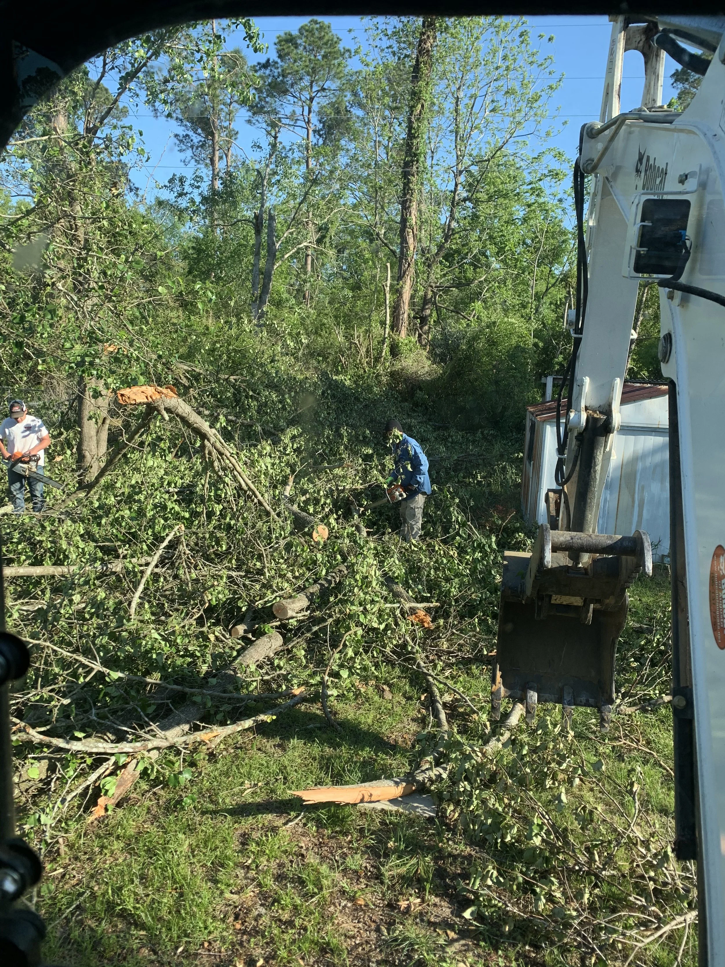 Workers using chainsaws to clear fallen trees and branches in a wooded area, with a large piece of equipment on the right side of the image.