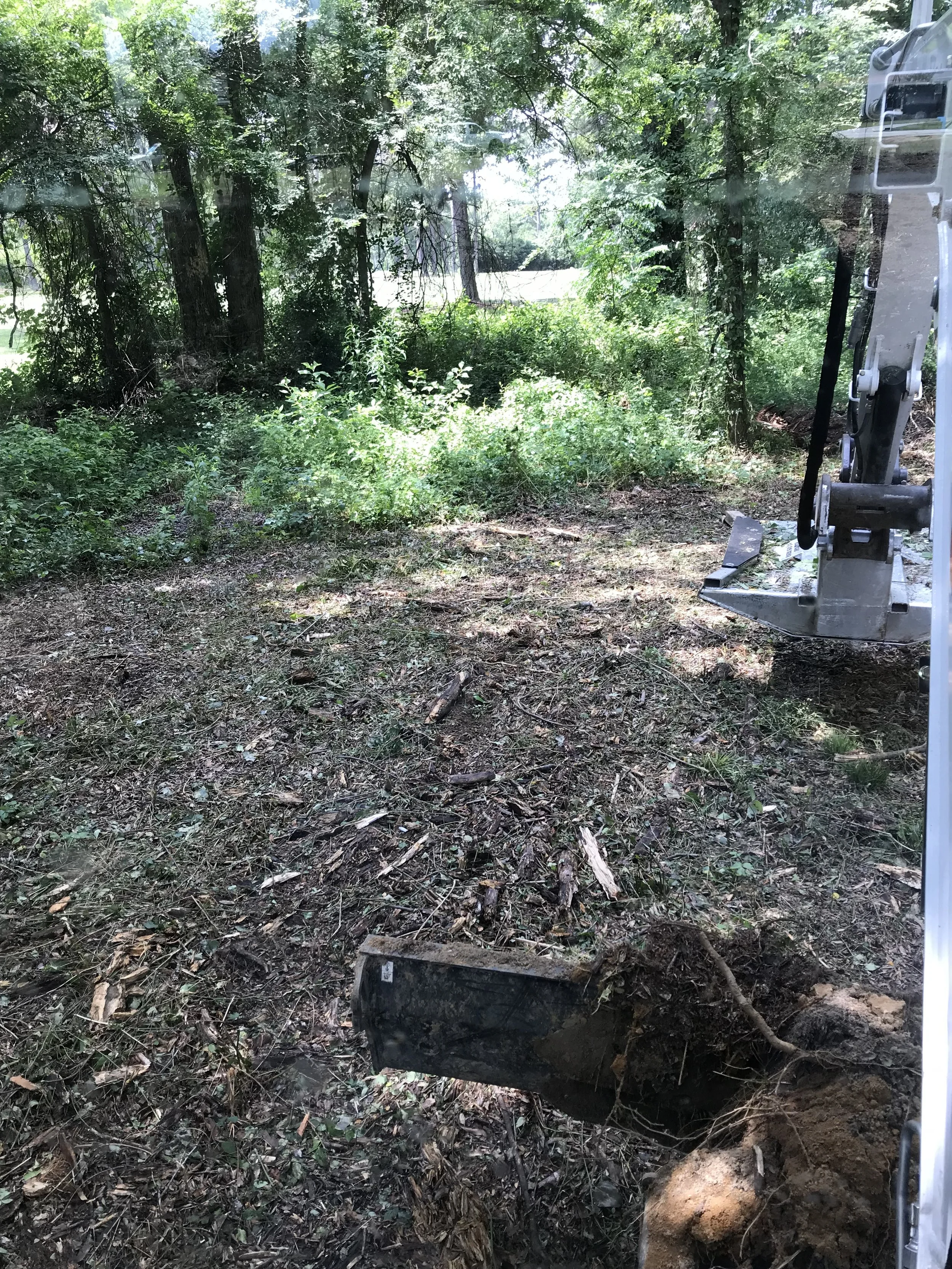 View of a wooded area with trees and bushes, showing part of a construction or digging site with a mechanical excavator and a dug-up patch of ground.