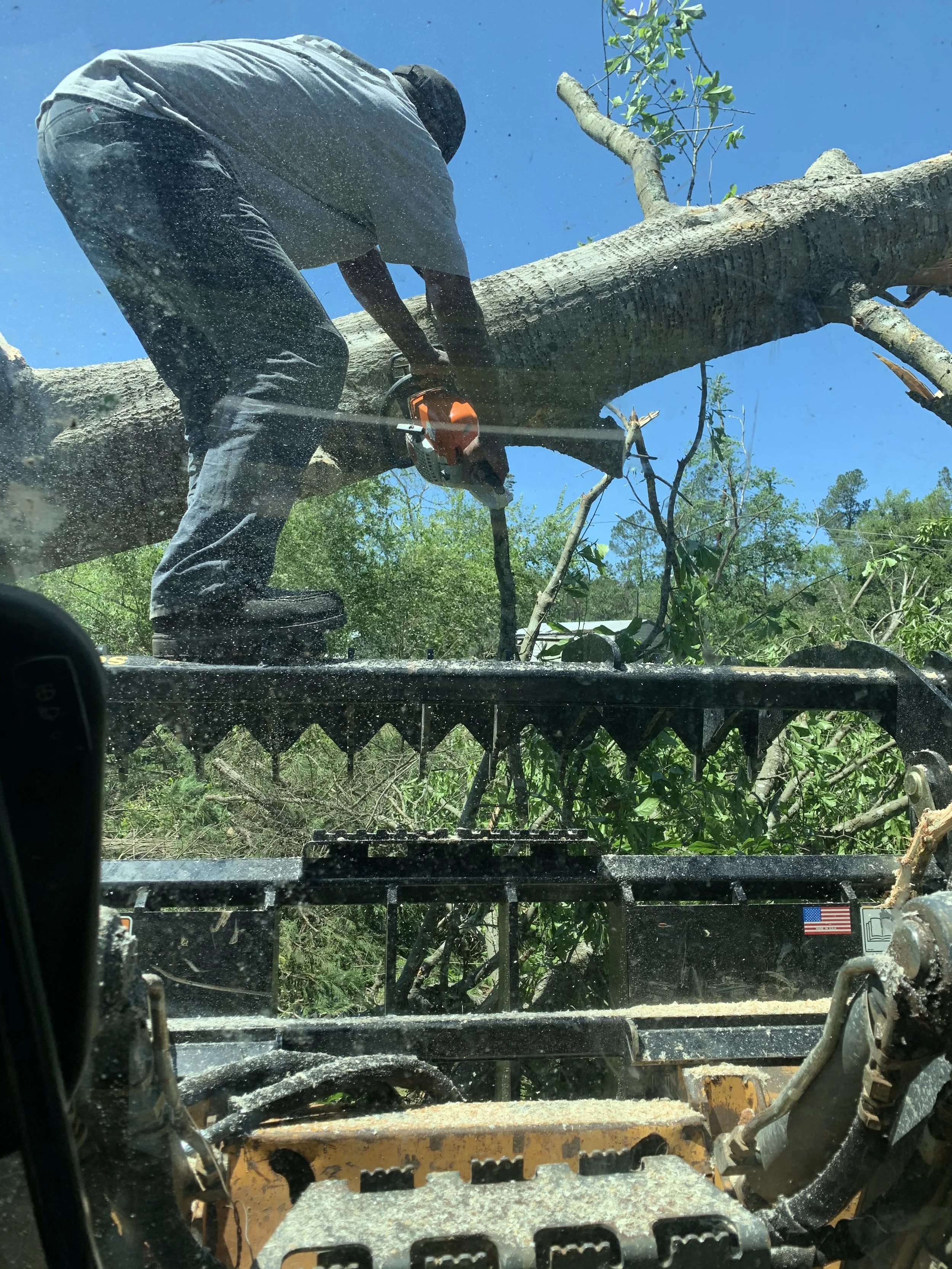 A person wearing grey clothing and a cap operating a chainsaw to cut a large tree trunk from a vehicle with a clear view of the tree branches and blue sky.