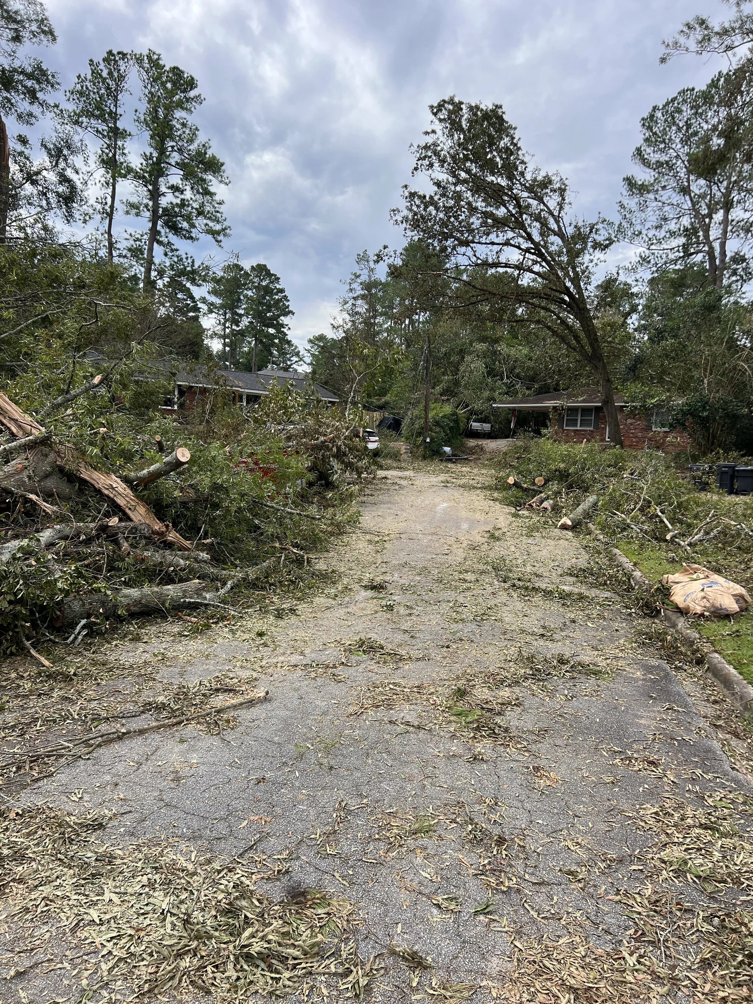 Street with fallen trees and branches, debris, and damaged foliage after a storm, with houses in the background and cloudy sky overhead.