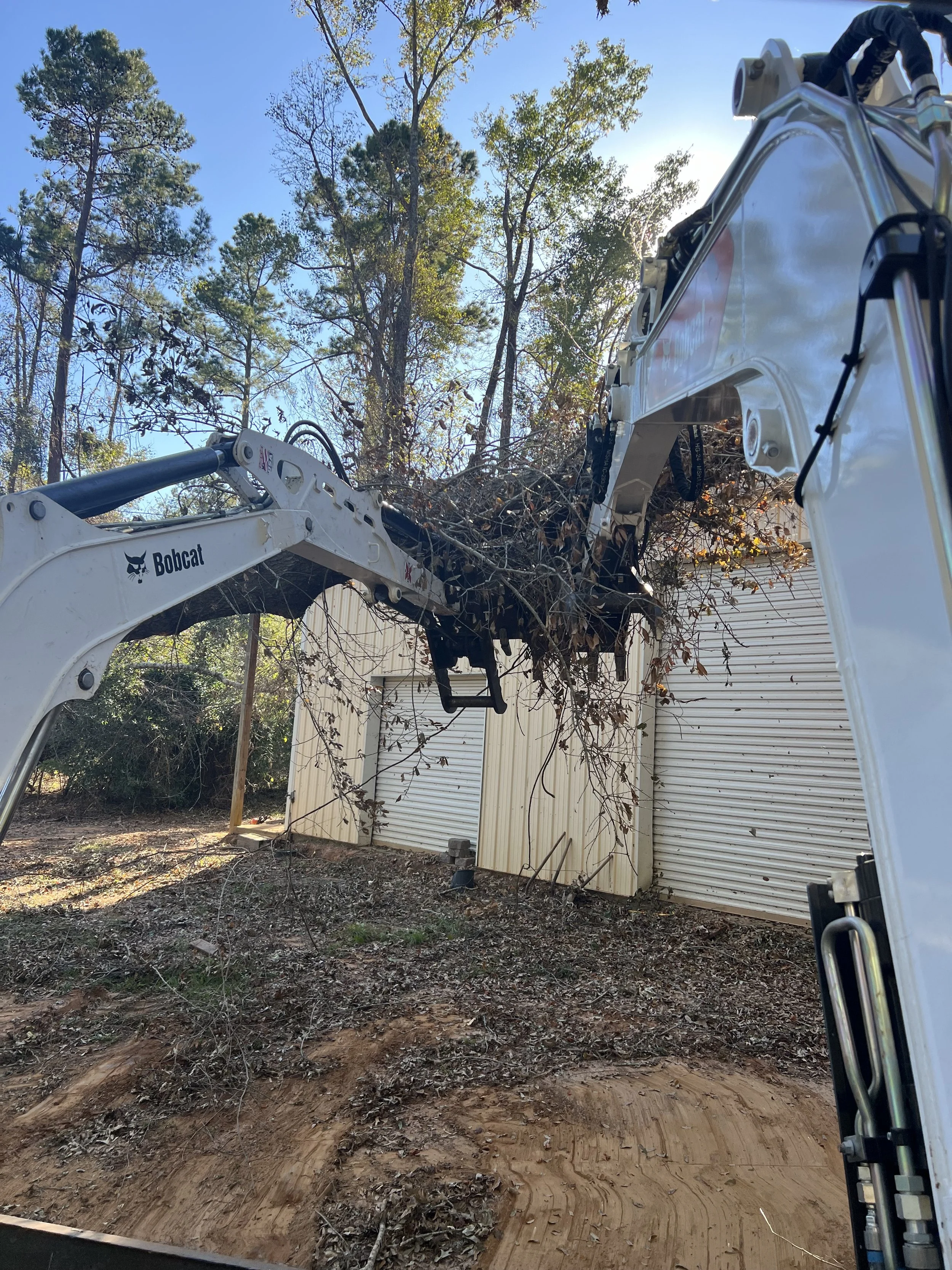 A Bobcat mini excavator removing tree branches and debris near a beige building with closed metal shutters.