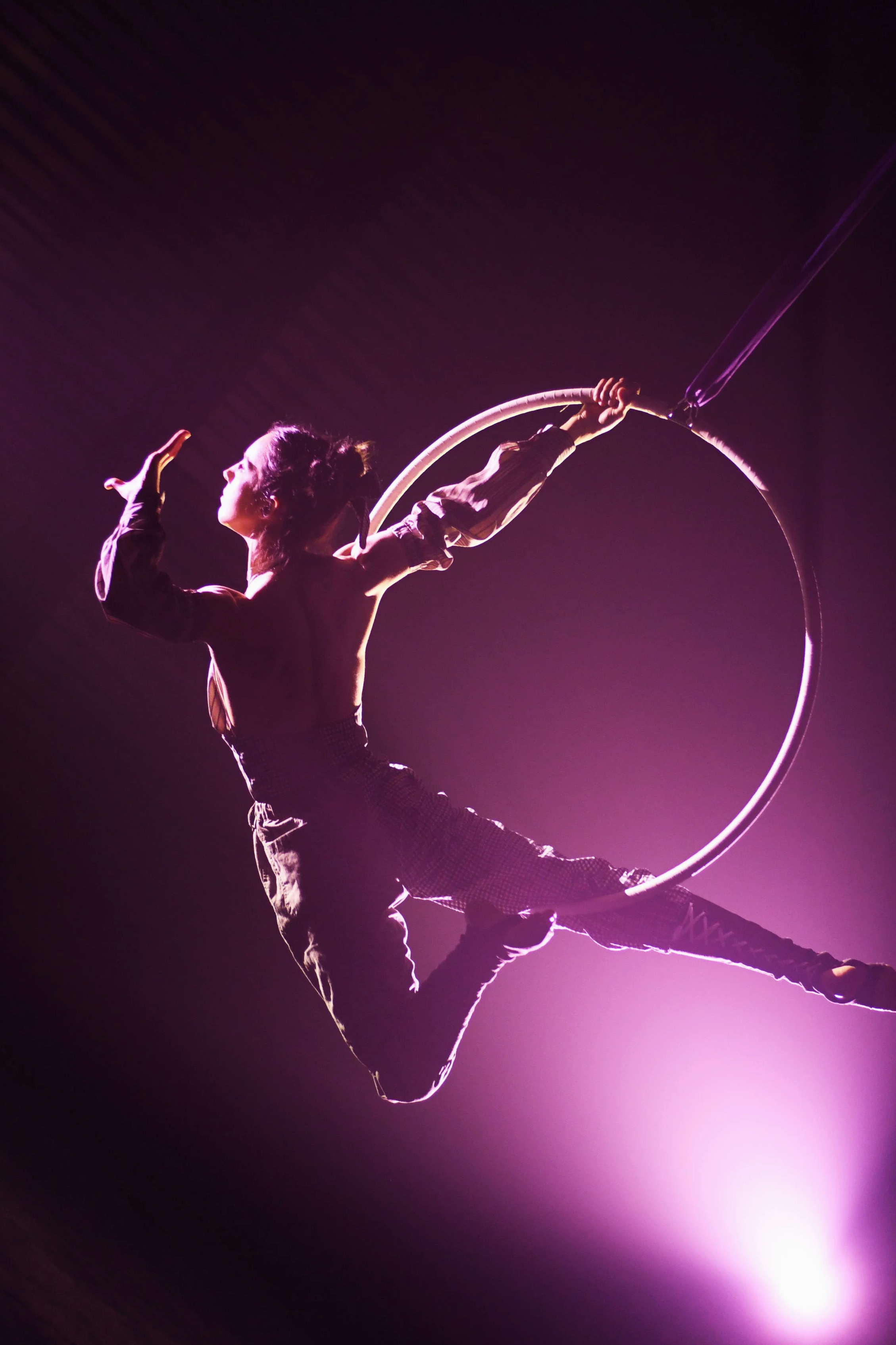 Une acrobate pratique le cerceau aérien dans une lumière violette.