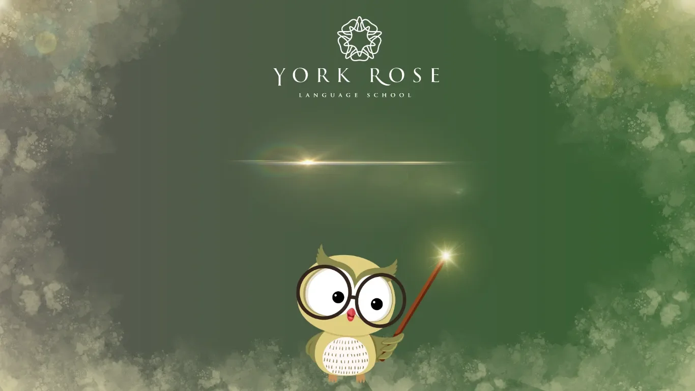 Bannerul paginii Metoda de Predare York Rose Language School pe fundal verde, prezentând logo-ul alb al școlii și o ilustrație drăguță cu o bufniță cu ochelari mari care ține o baghetă magică luminoasă.