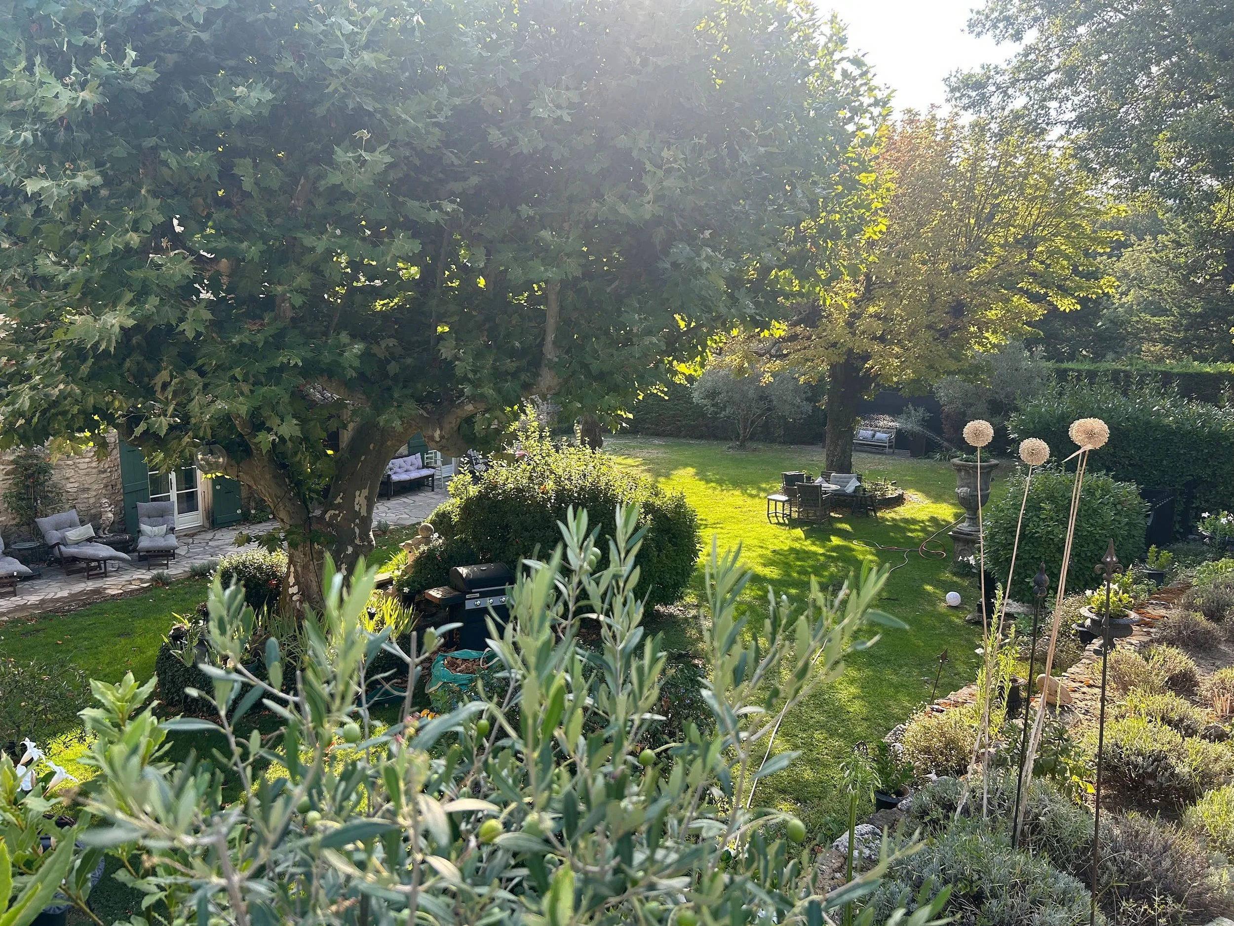 Ein gepflegter Garten mit großen Bäumen, Gartenmöbeln, Sträuchern und blühenden Pflanzen bei Sonnenlicht.