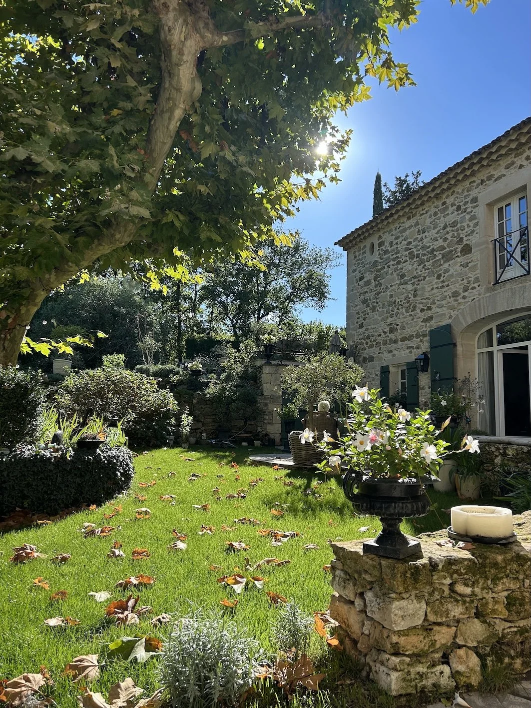 Garten mit grünem Rasen, großen Baum, blühenden Pflanzen in Töpfen, Haus mit Steinmauer, blauen Fensterläden und Balkon, sonnig bei klarem blauen Himmel.