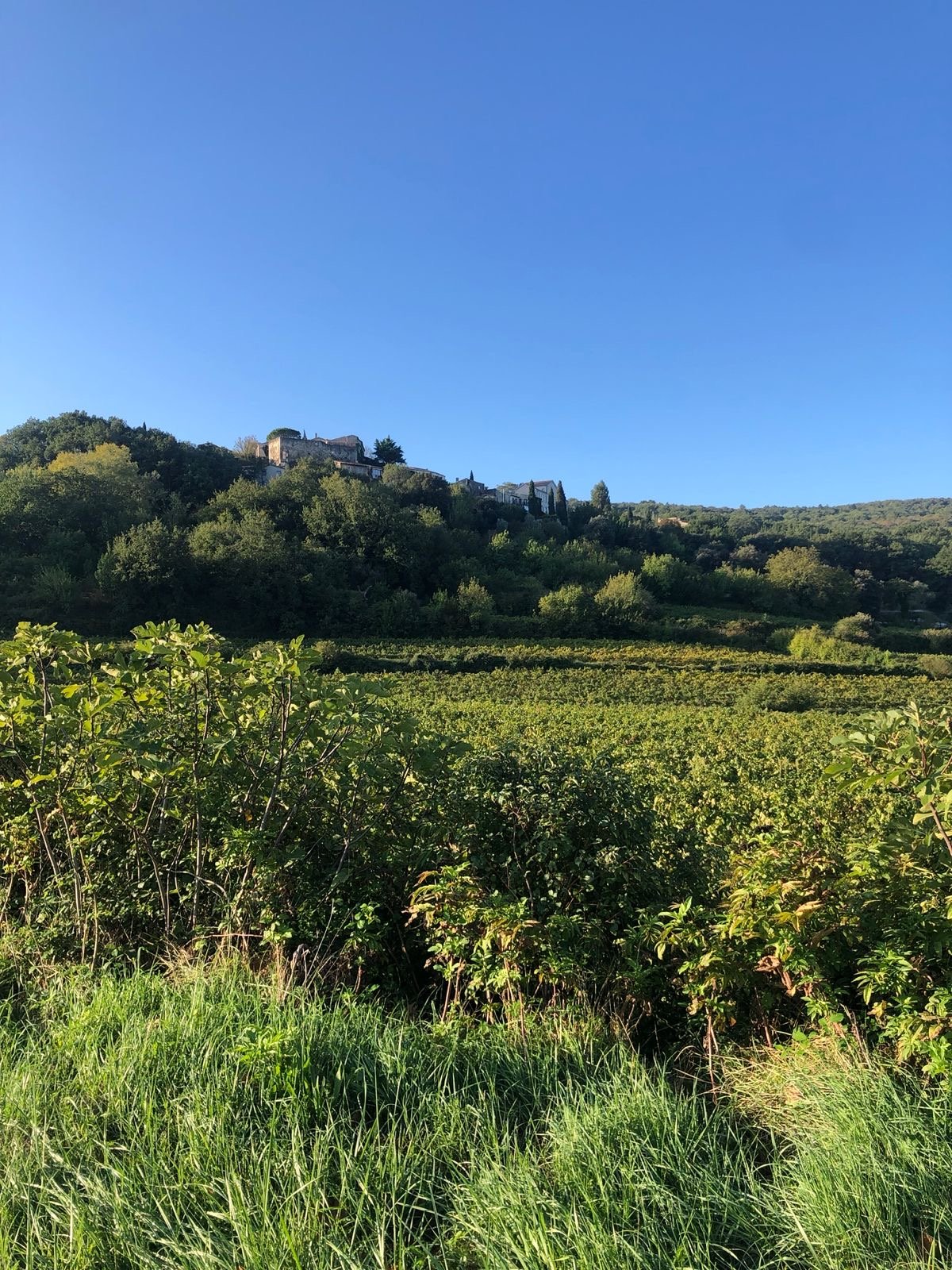 Grünes Hügelland mit einem kleinen Dorf oder Schloss auf dem Berg bei klarem blauen Himmel.