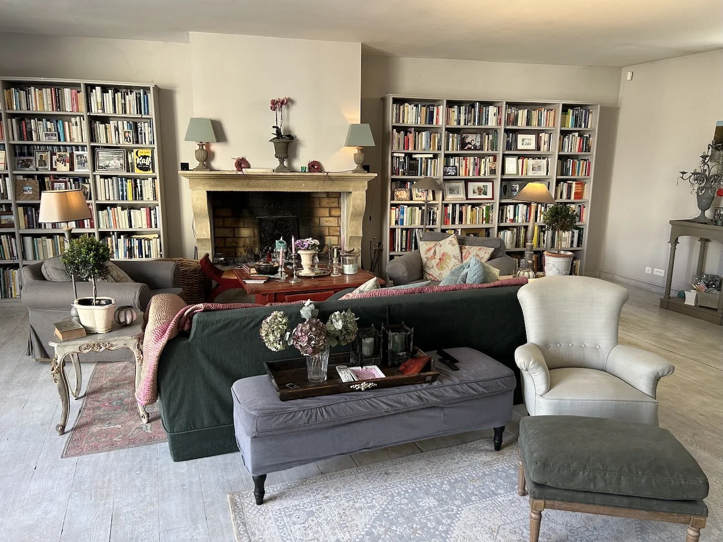 Gemütliches Wohnzimmer mit Kamin, umgeben von Bücherregalen, Sofa, Sessel, Couchtisch und dekorativen Pflanzen.