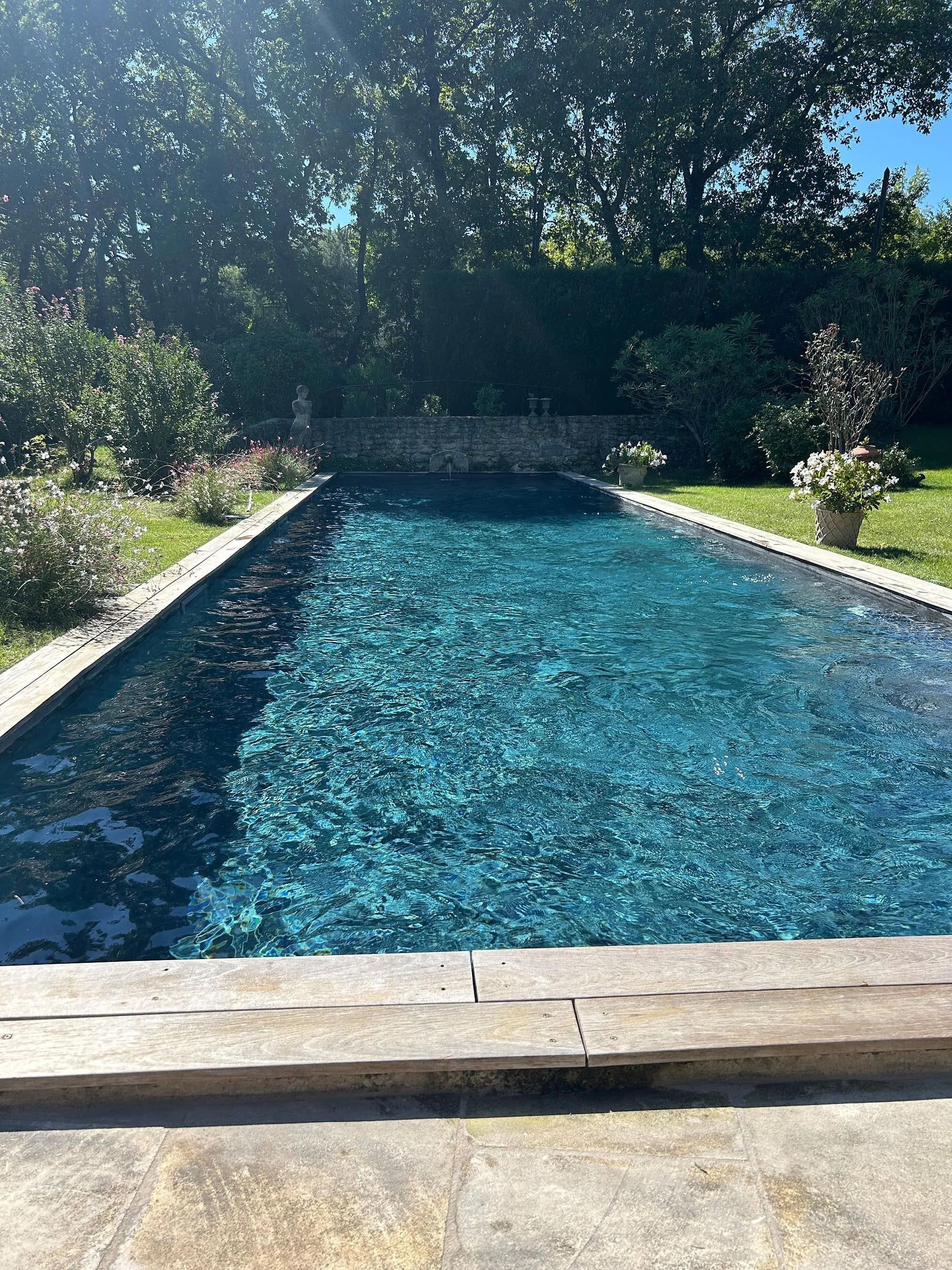 Ein rechteckiger Swimmingpool im Garten, umgeben von Blumen und Büschen, mit Sonnenschein und blauen Himmel im Hintergrund.
