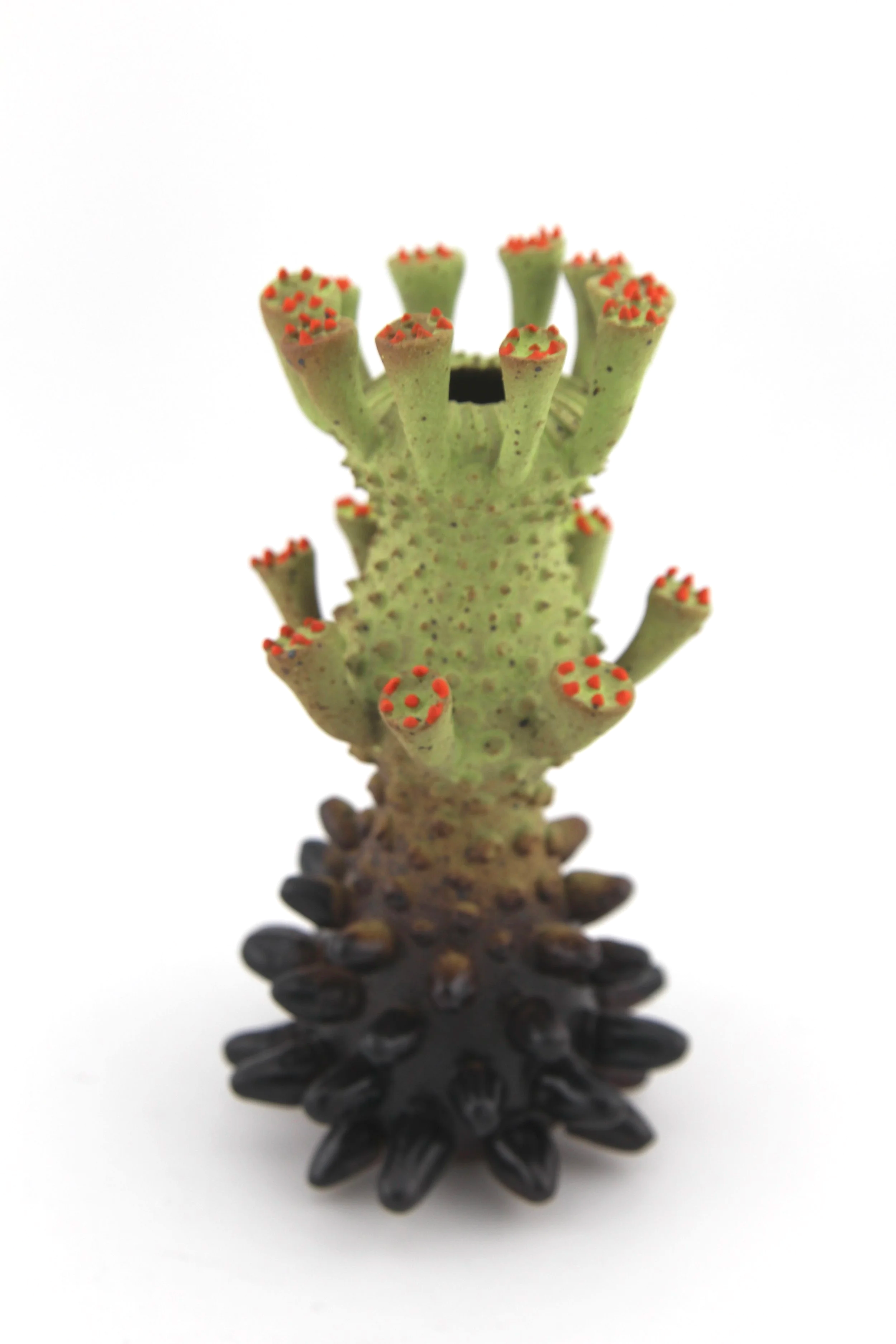 Xerophyte Specimen (2026) - Stoneware, glaze, underglaze - 3 x 3 x 5.5 in 