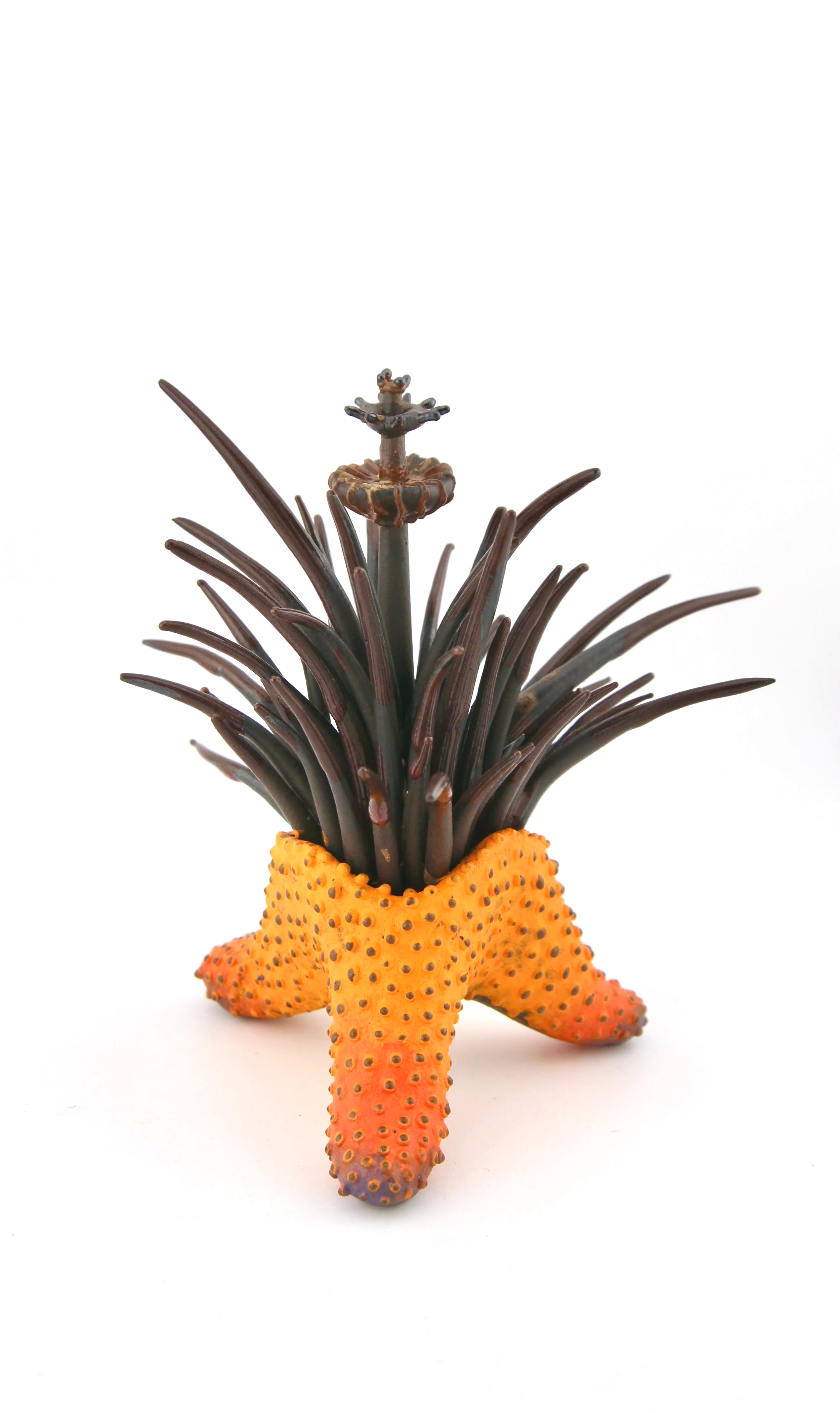 Asteroidea Specimen (2026) - Stoneware, underglaze, glaze, wood ash - 3.5 x 3.5 x 5.5 in