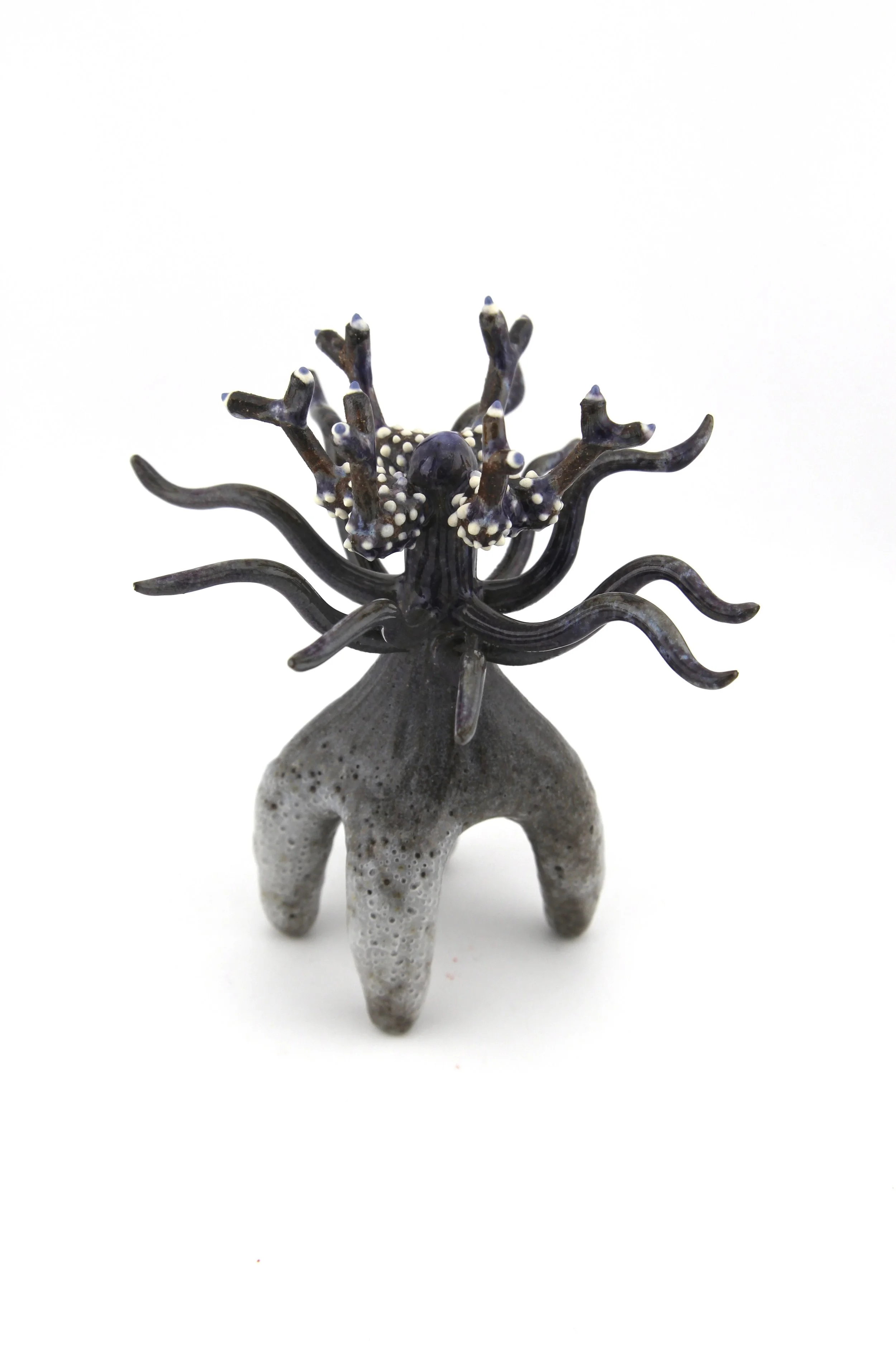 Evolutionary Specimen (2026) - Stoneware, porcelain slip, glaze, wood ash - 5 x 5 x 5.25 in

