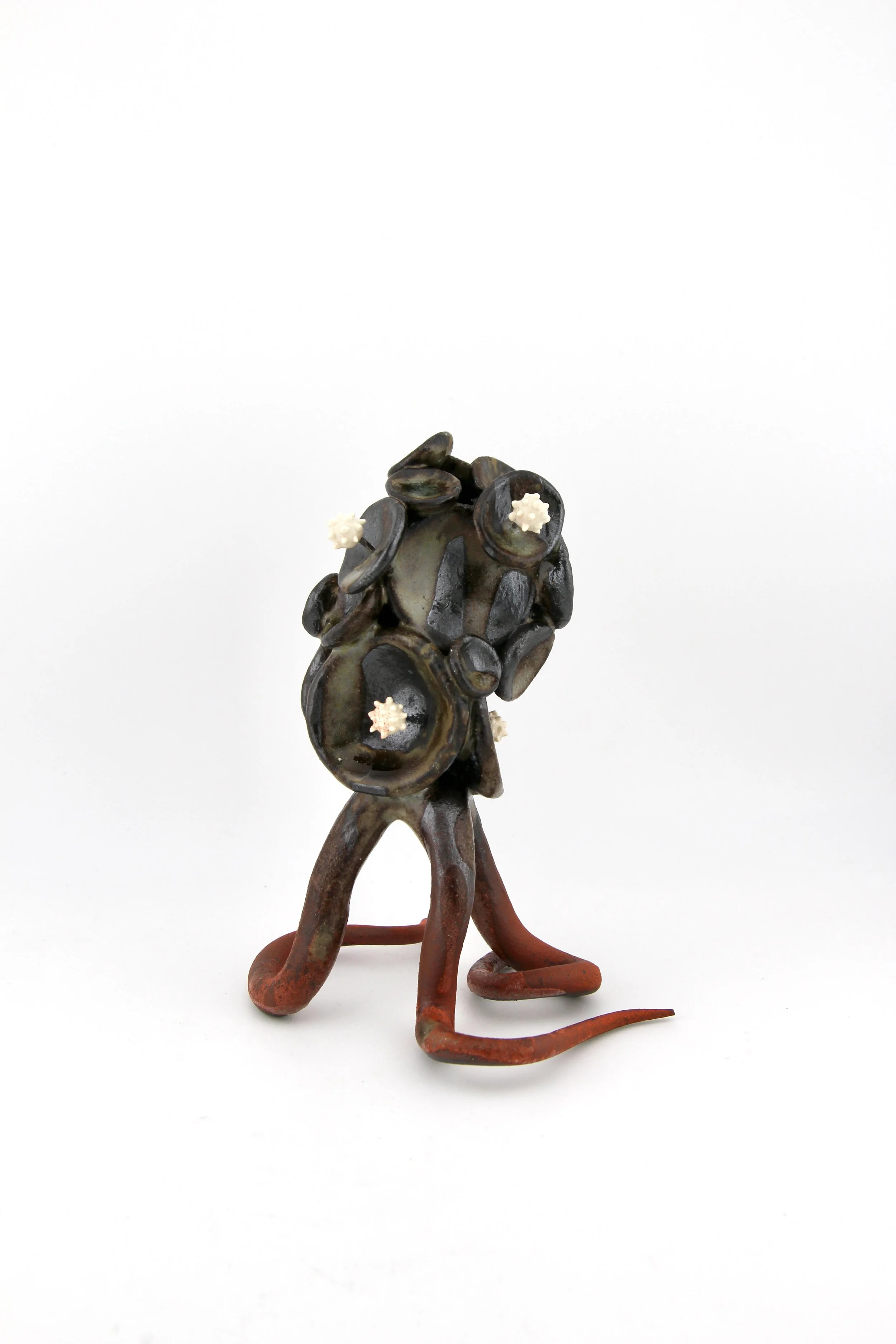 Mollusca Specimen (2026) - Stoneware, porcelain, glaze, nichrome wire, wood ash - 5 x 3.5 x 6 in 