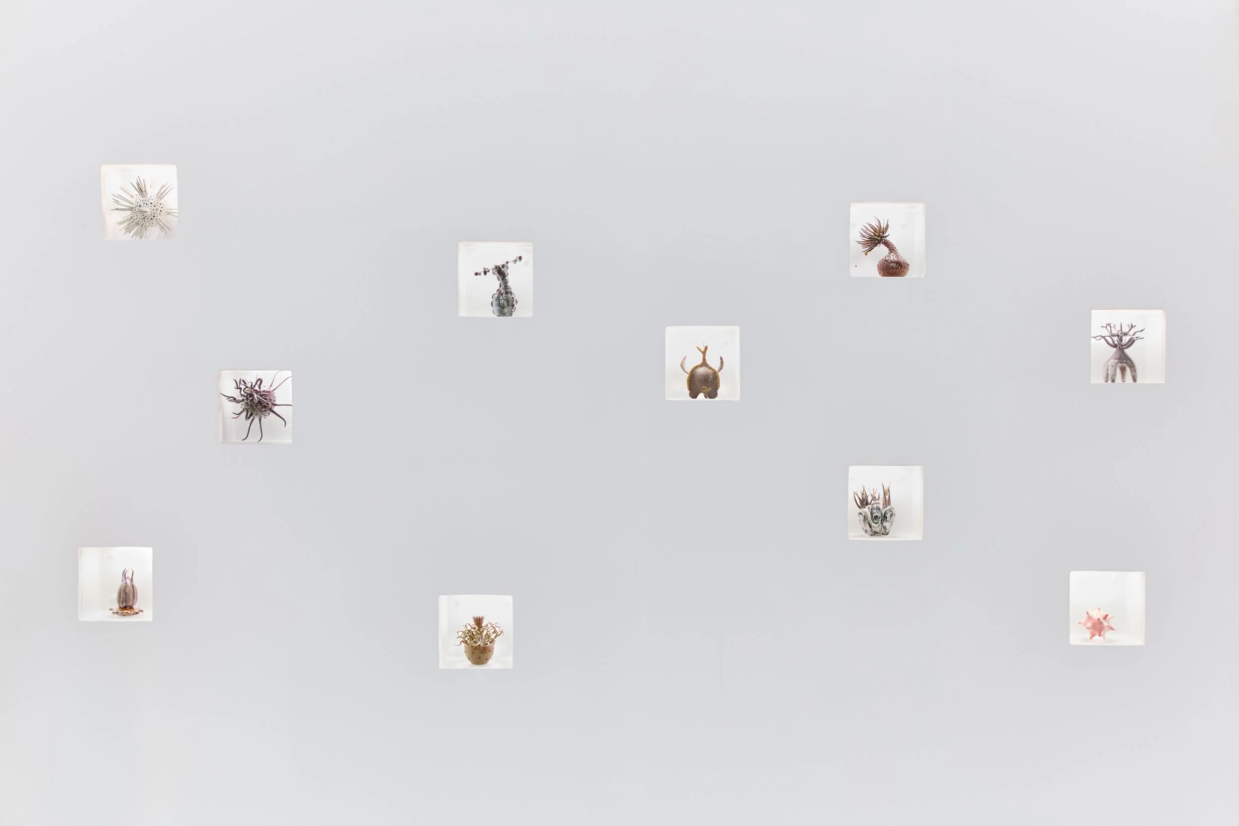 AC_ABCZoyaExhibit_12.jpg